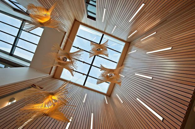 Upward-looking view of a dramatic double-height interior void with extensive floor-to-ceiling glazing and a warm timber slatted ceiling and wall lining. Several sculptural pendant lights with radiating natural-fibre or timber-like forms hang prominently across the space, while linear recessed lights emphasize the ceiling geometry. The composition highlights the atrium-like scale, skylit brightness, and contemporary timber detailing.