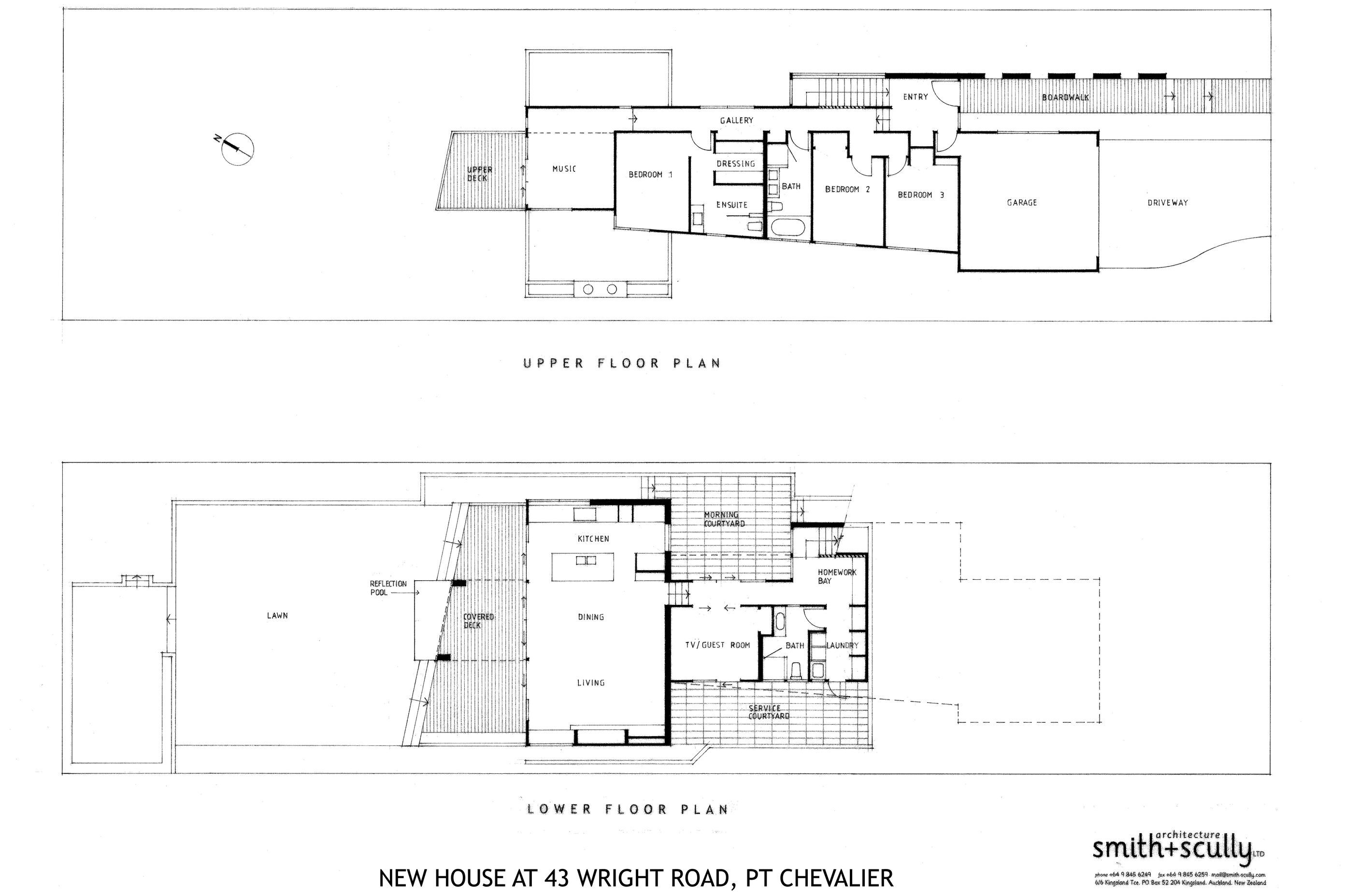 Contemporary New House in Point Chevalier