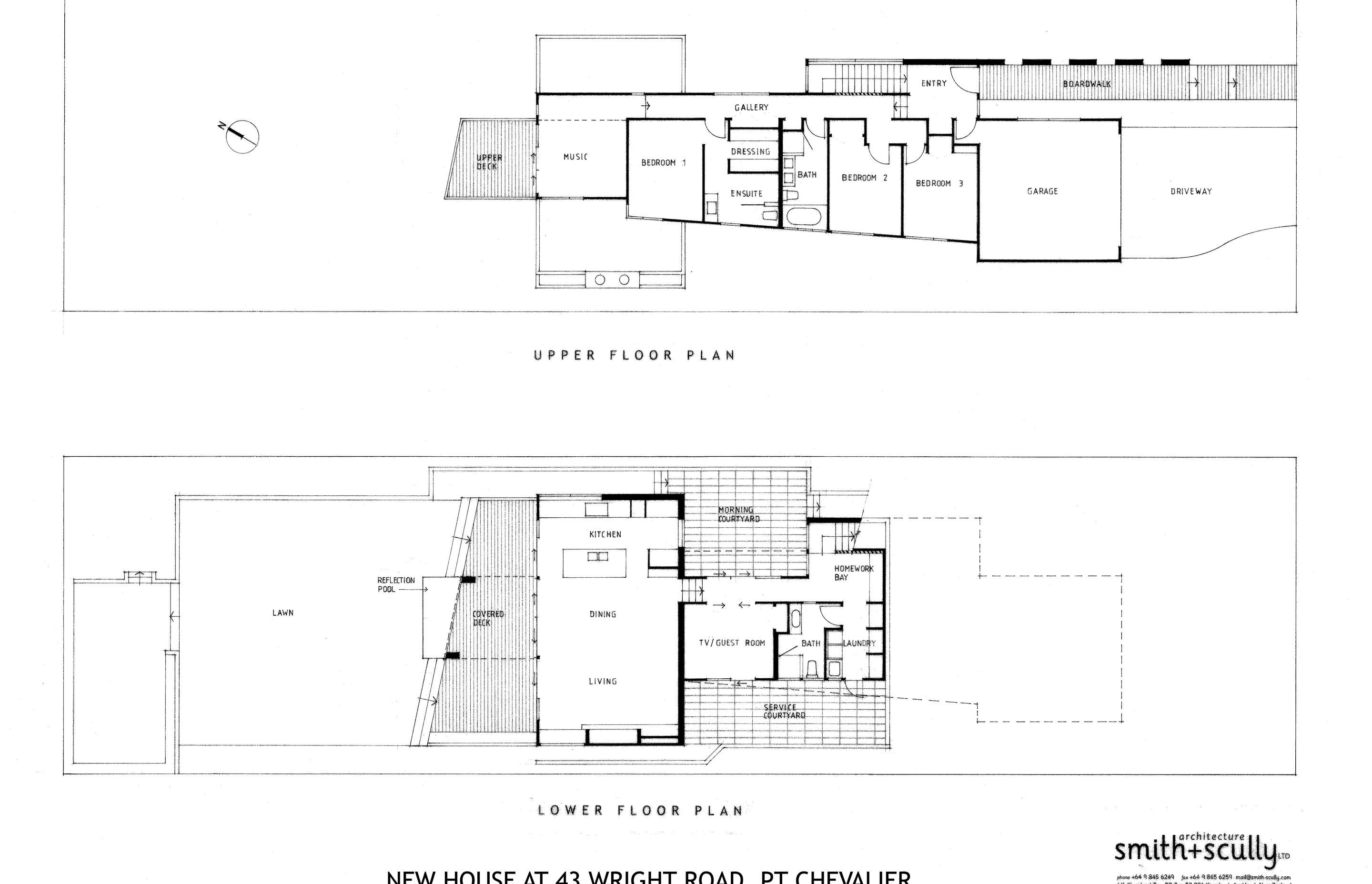 Contemporary New House in Point Chevalier