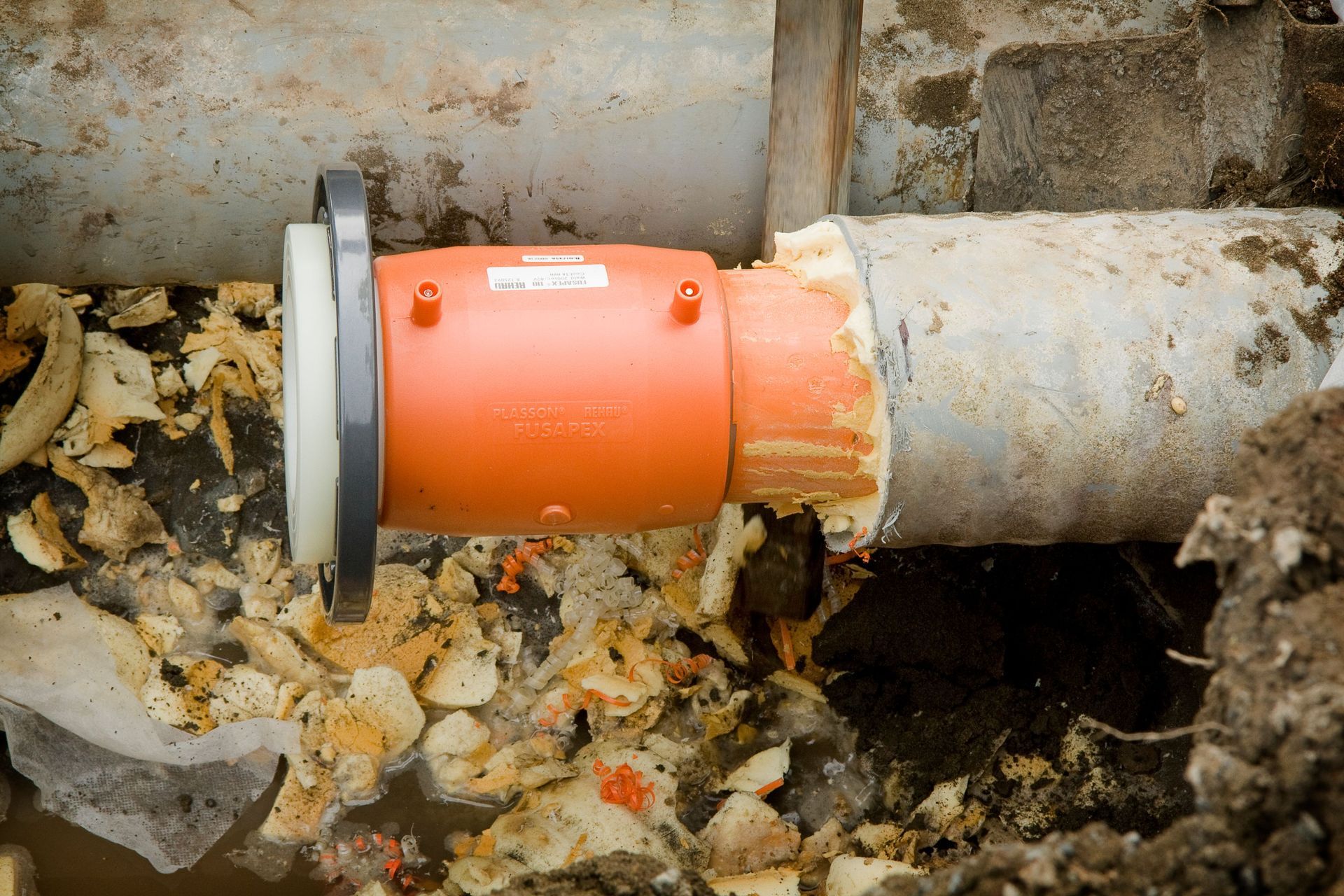 Auckland Women's Prison