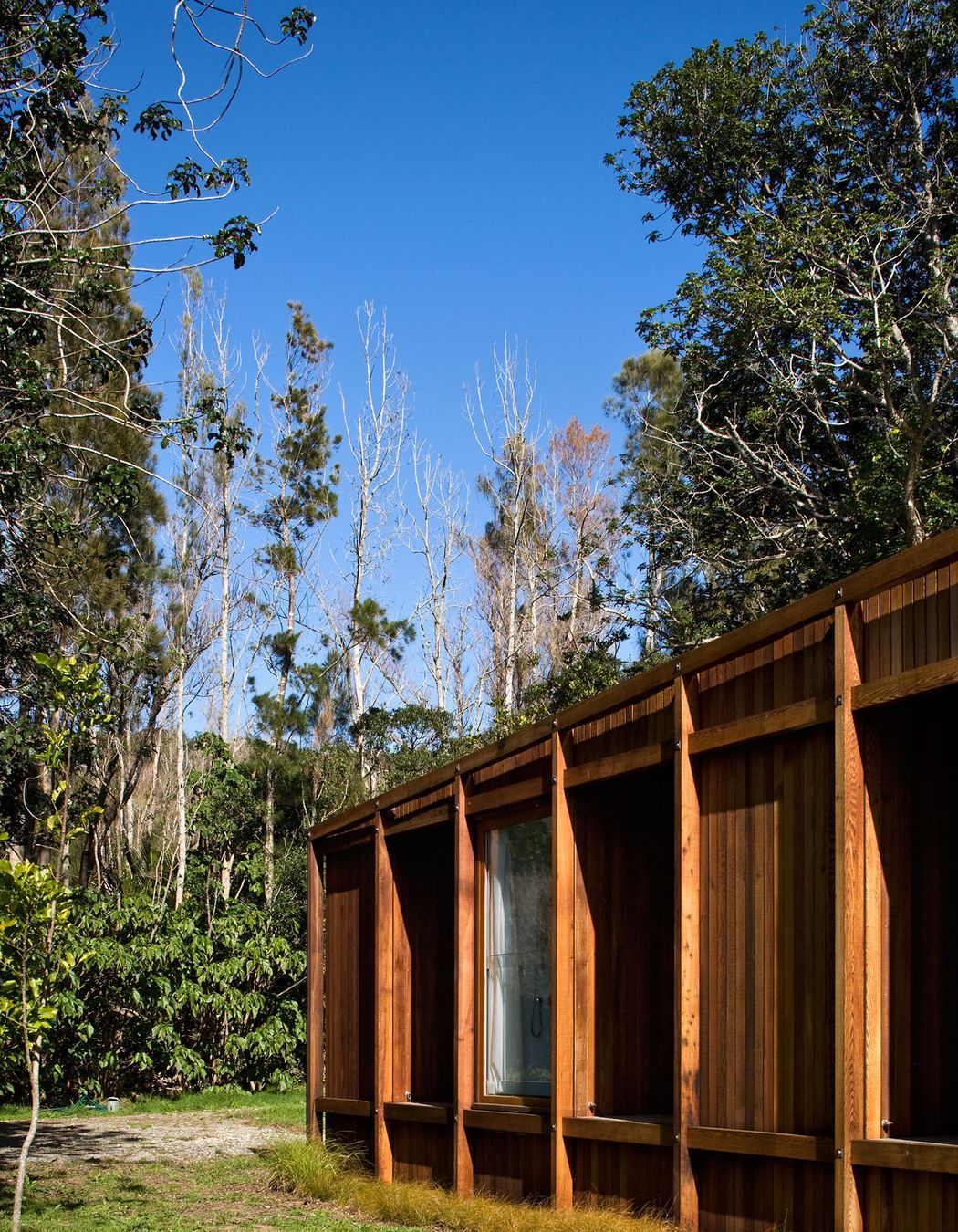 Great Barrier Island House