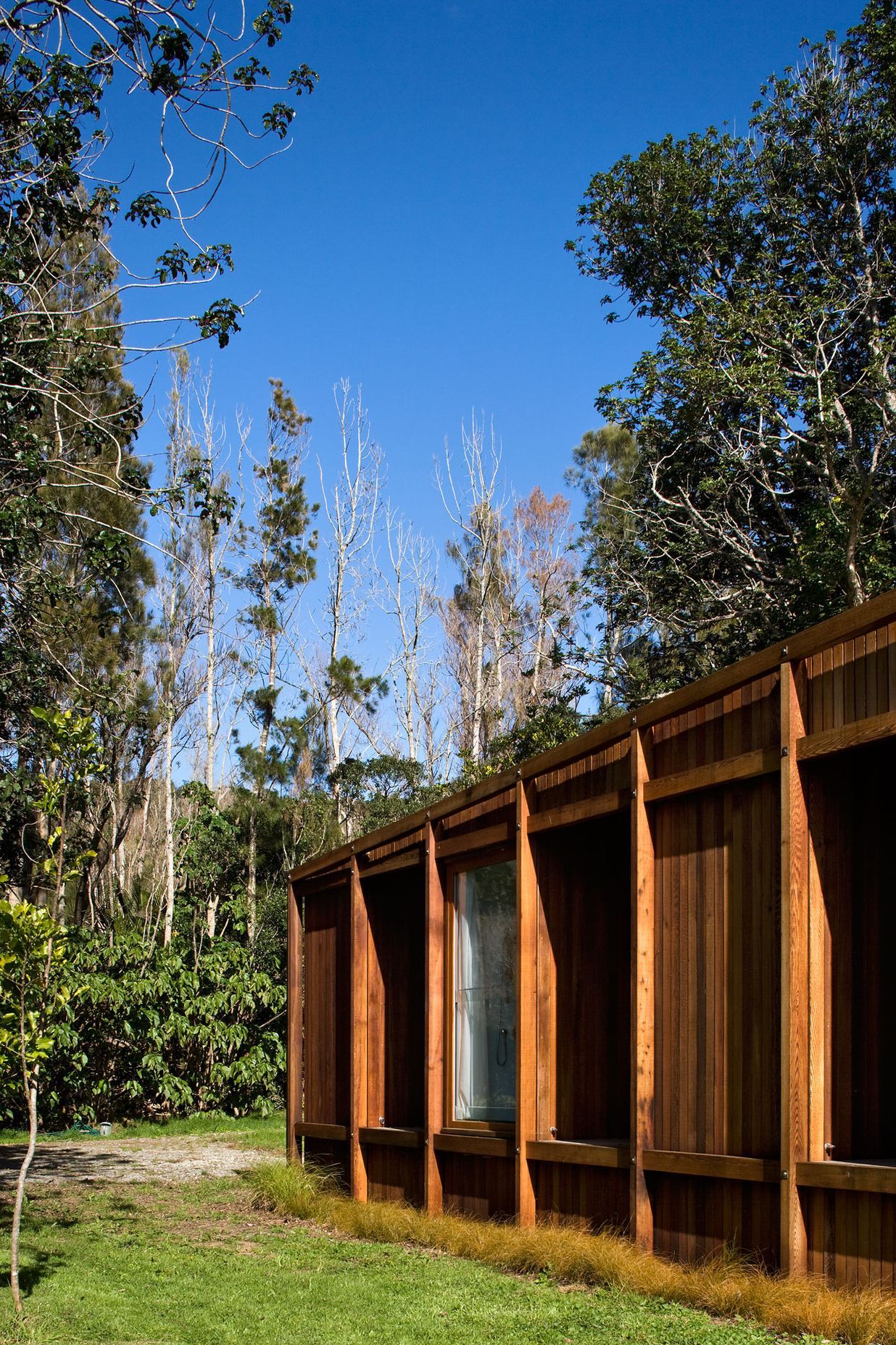 Great Barrier Island House