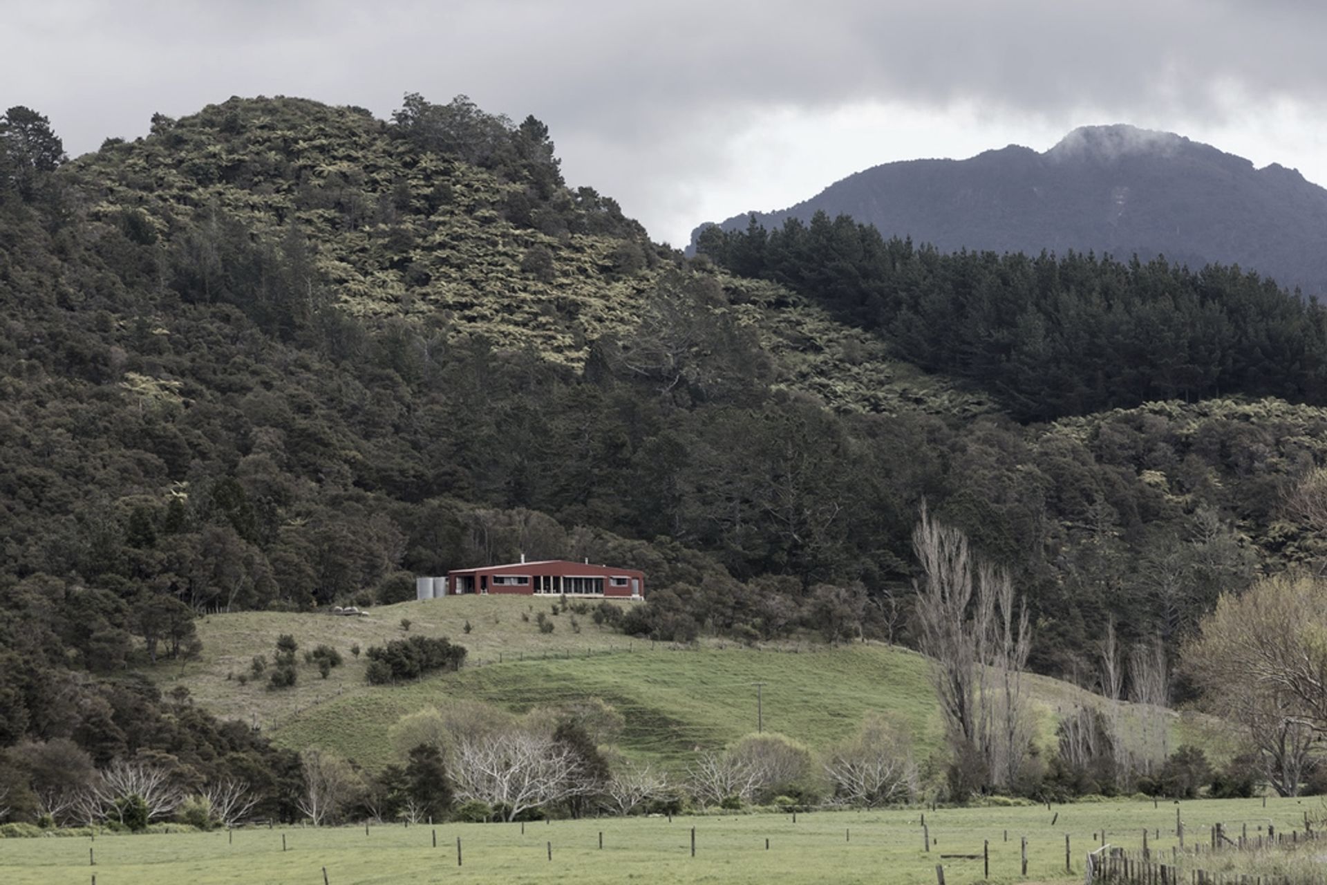 Puketui Valley House