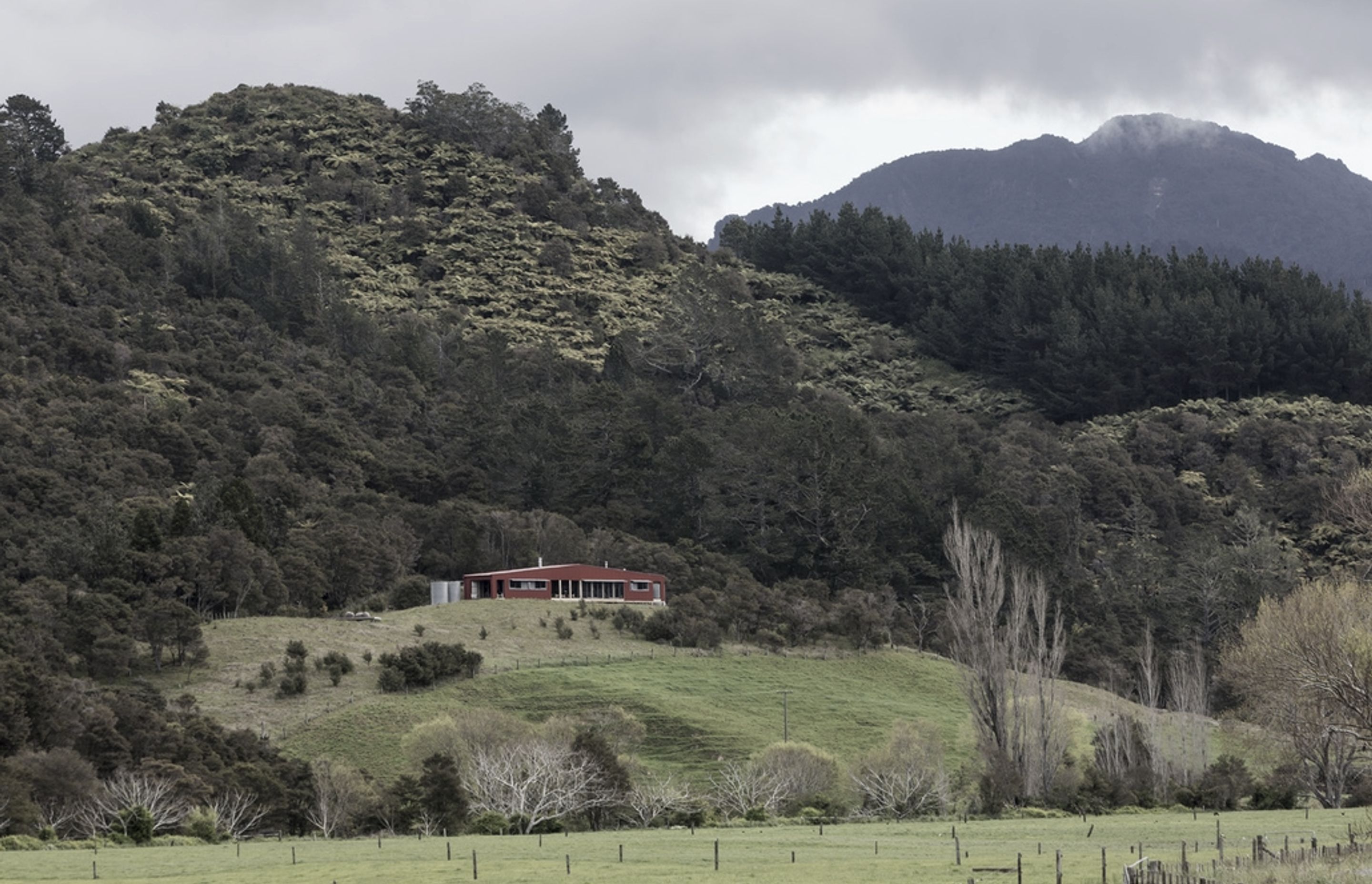 Puketui Valley House