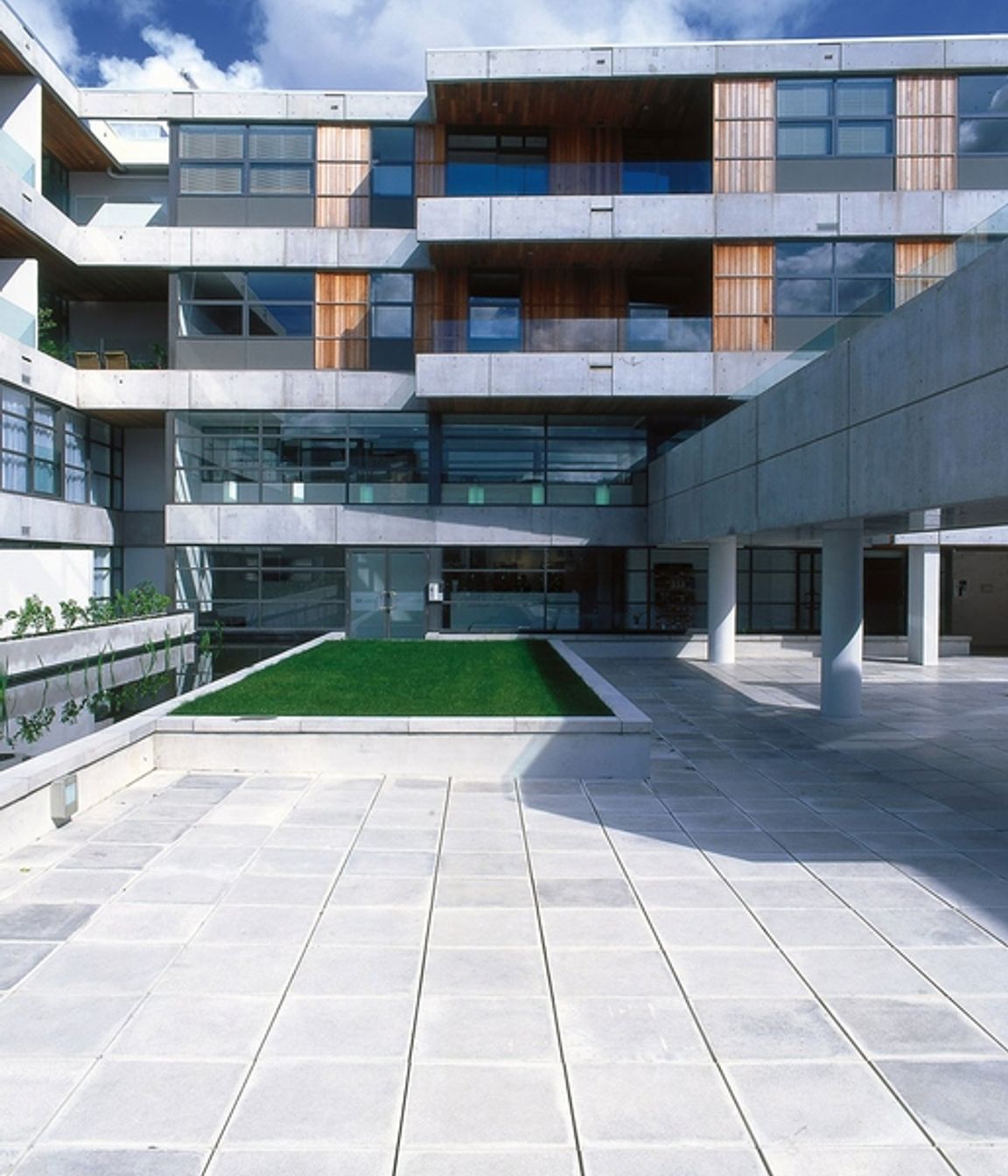 Arena
