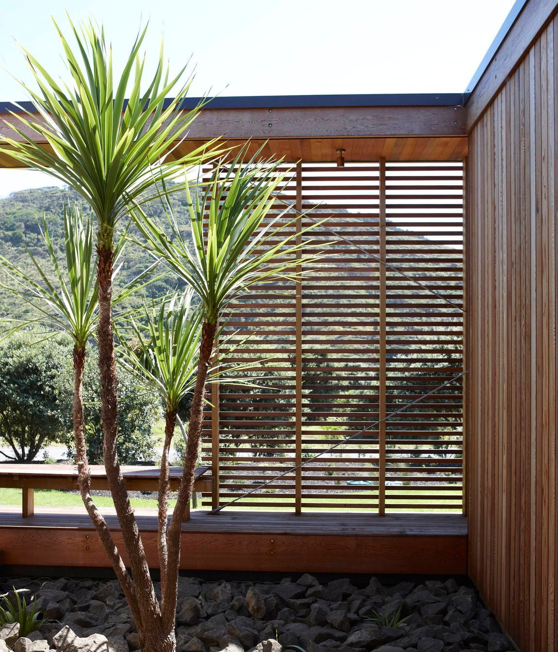 Bethells Bach