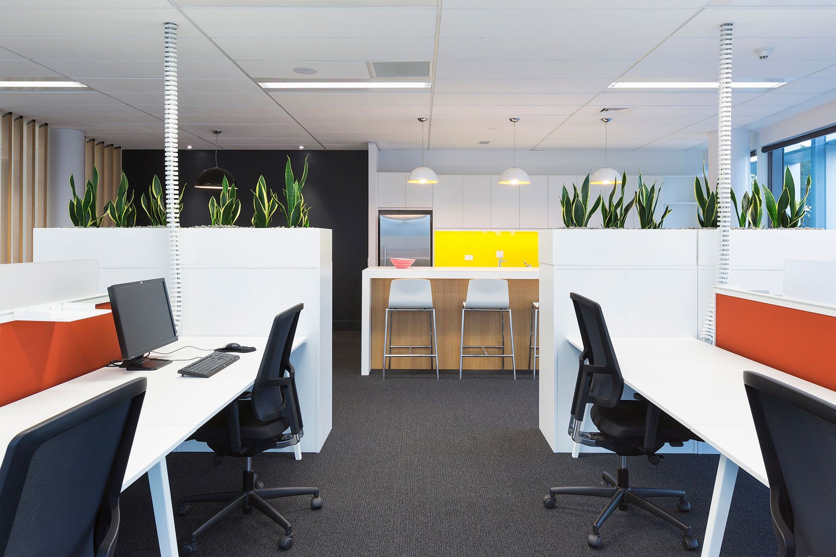 CBC Construction - 247 Cameron Road, Tauranga