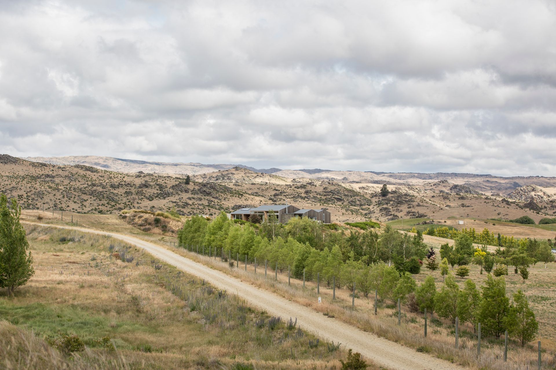 Chatto Creek