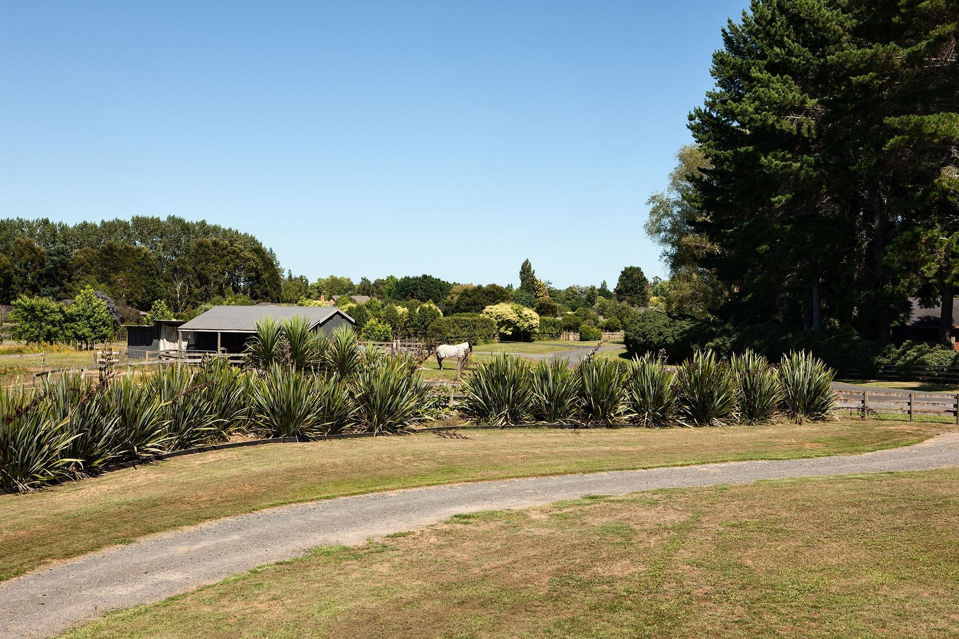 Contemporary Country Home