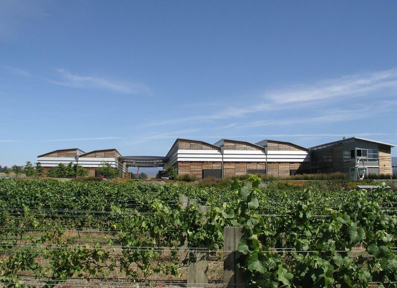 Spy Valley Winery 