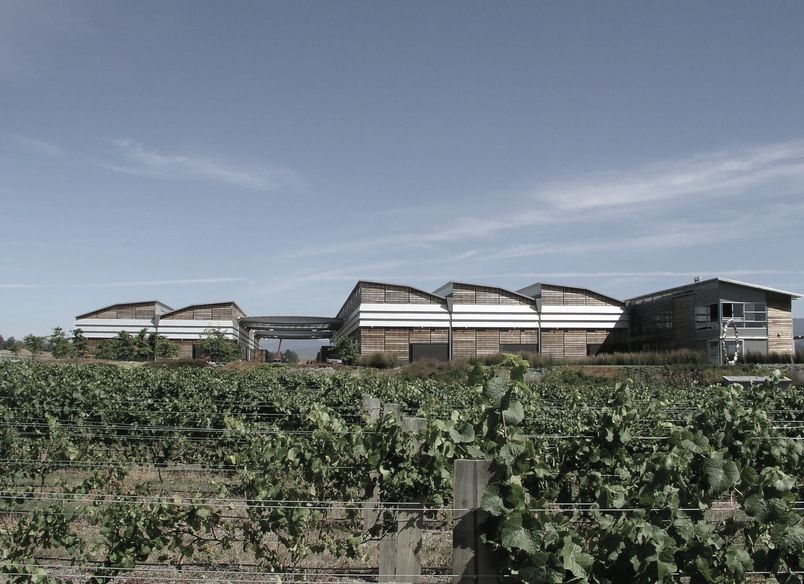 Spy Valley Winery 
