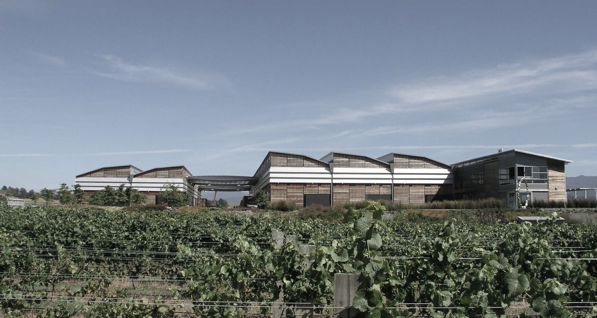 Spy Valley Winery  banner