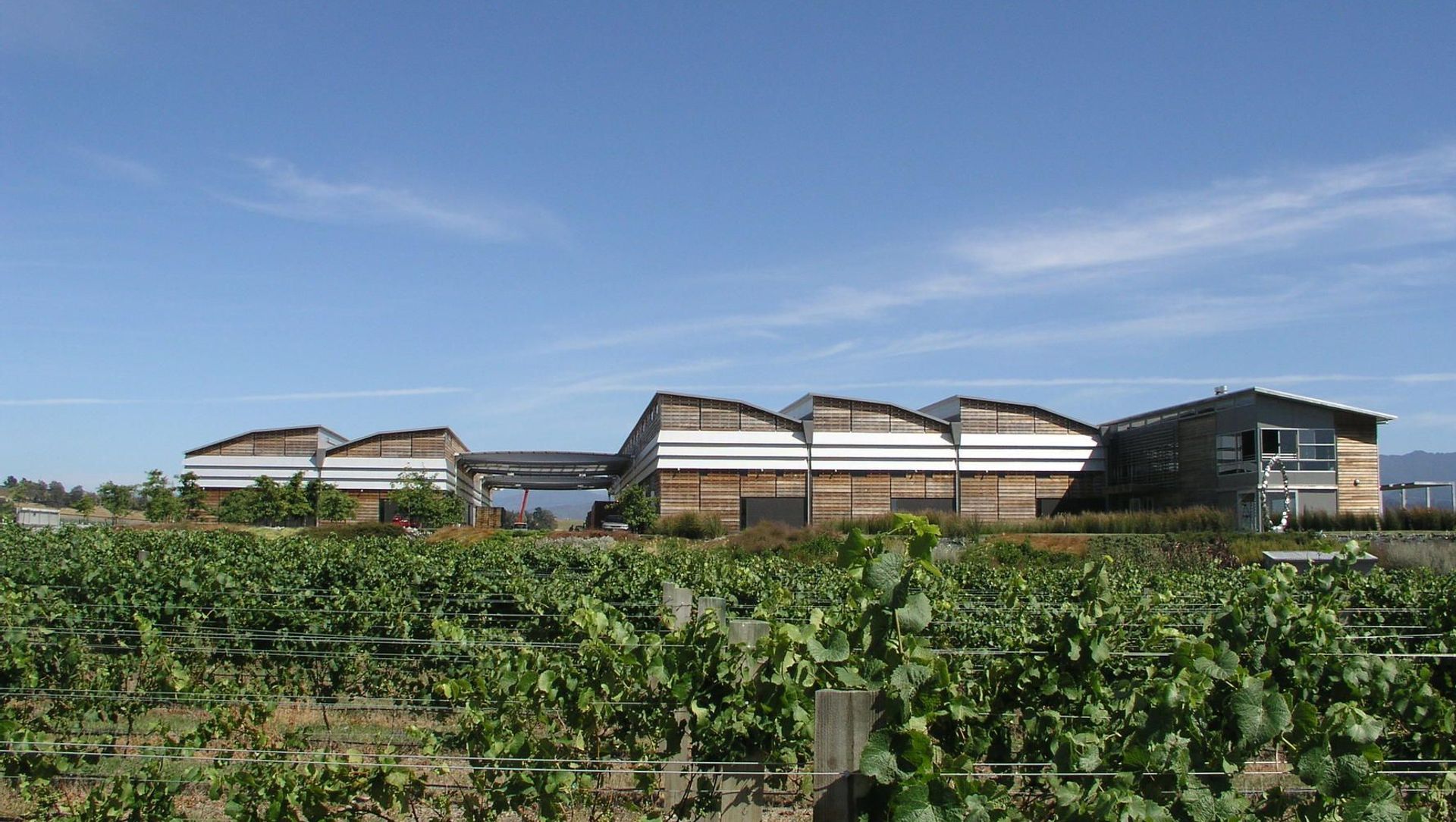 Spy Valley Winery banner