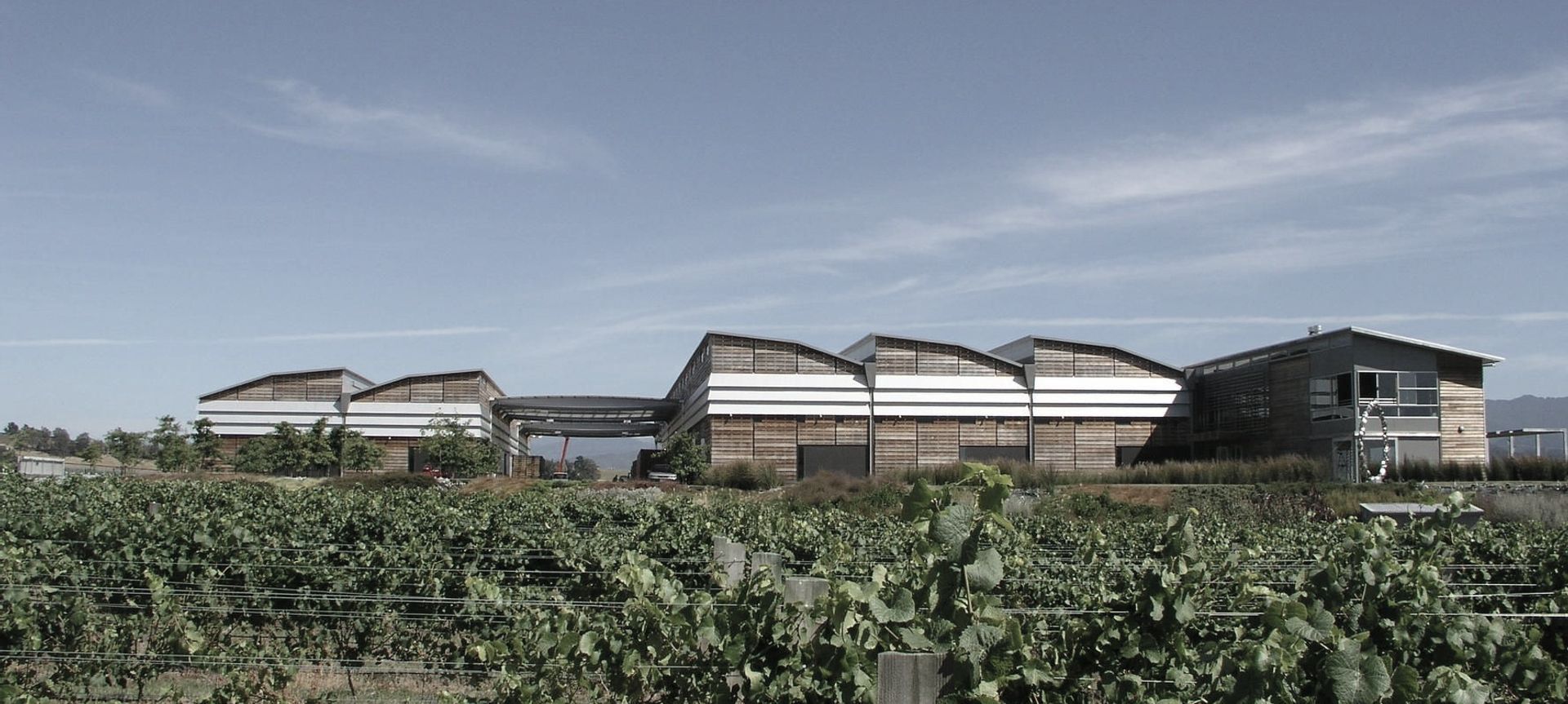 Spy Valley Winery  banner