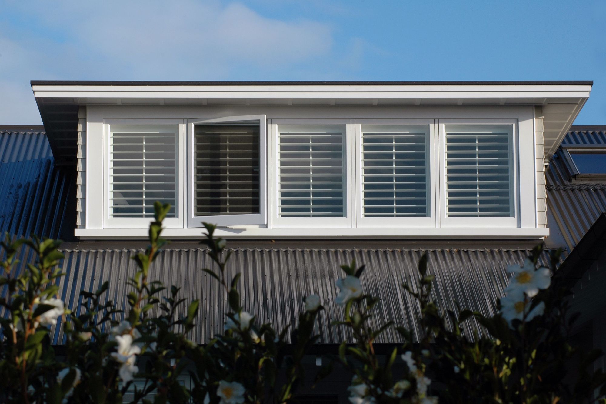 Takapuna House Alterations