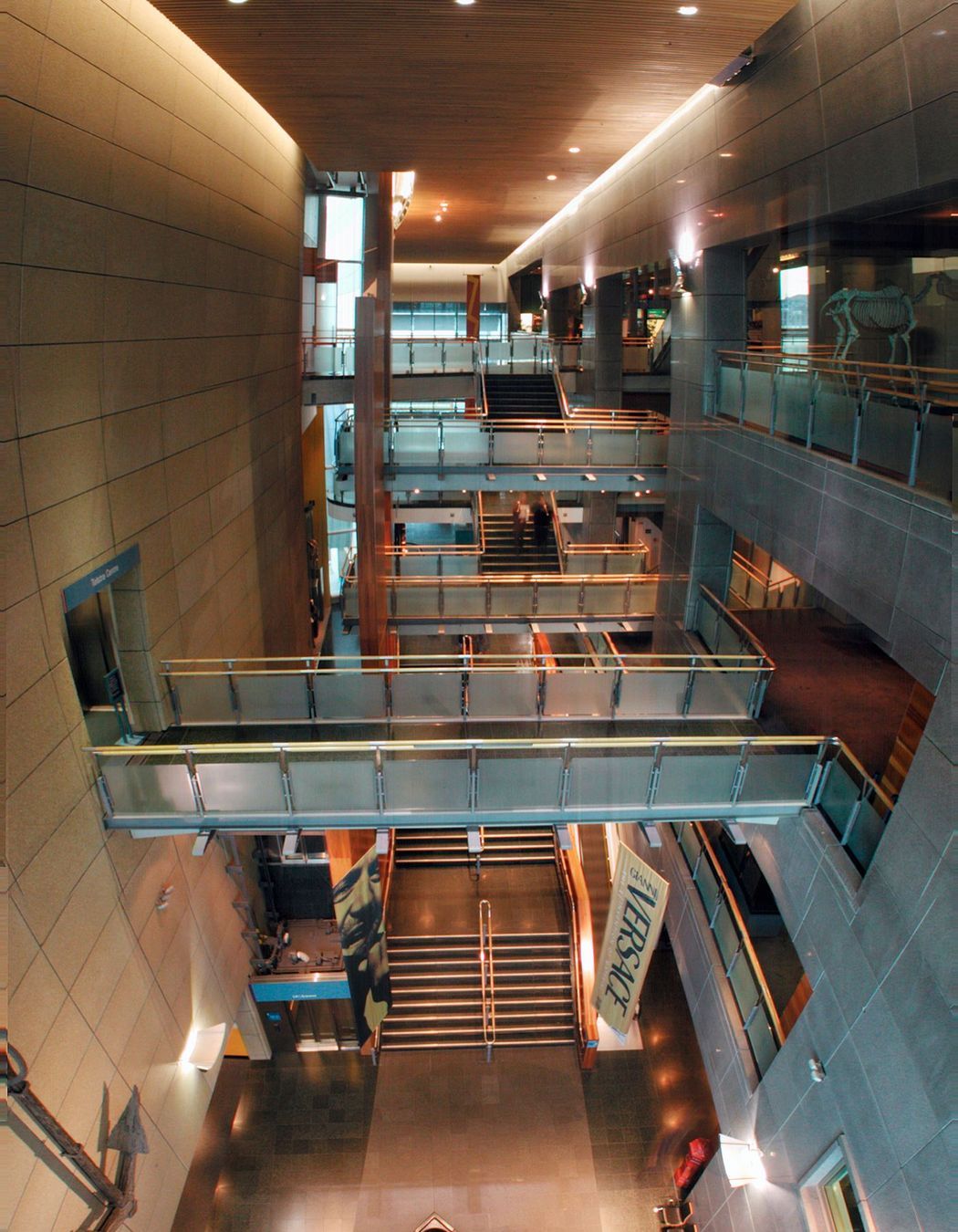 Museum of NZ, Te Papa Tongarewa