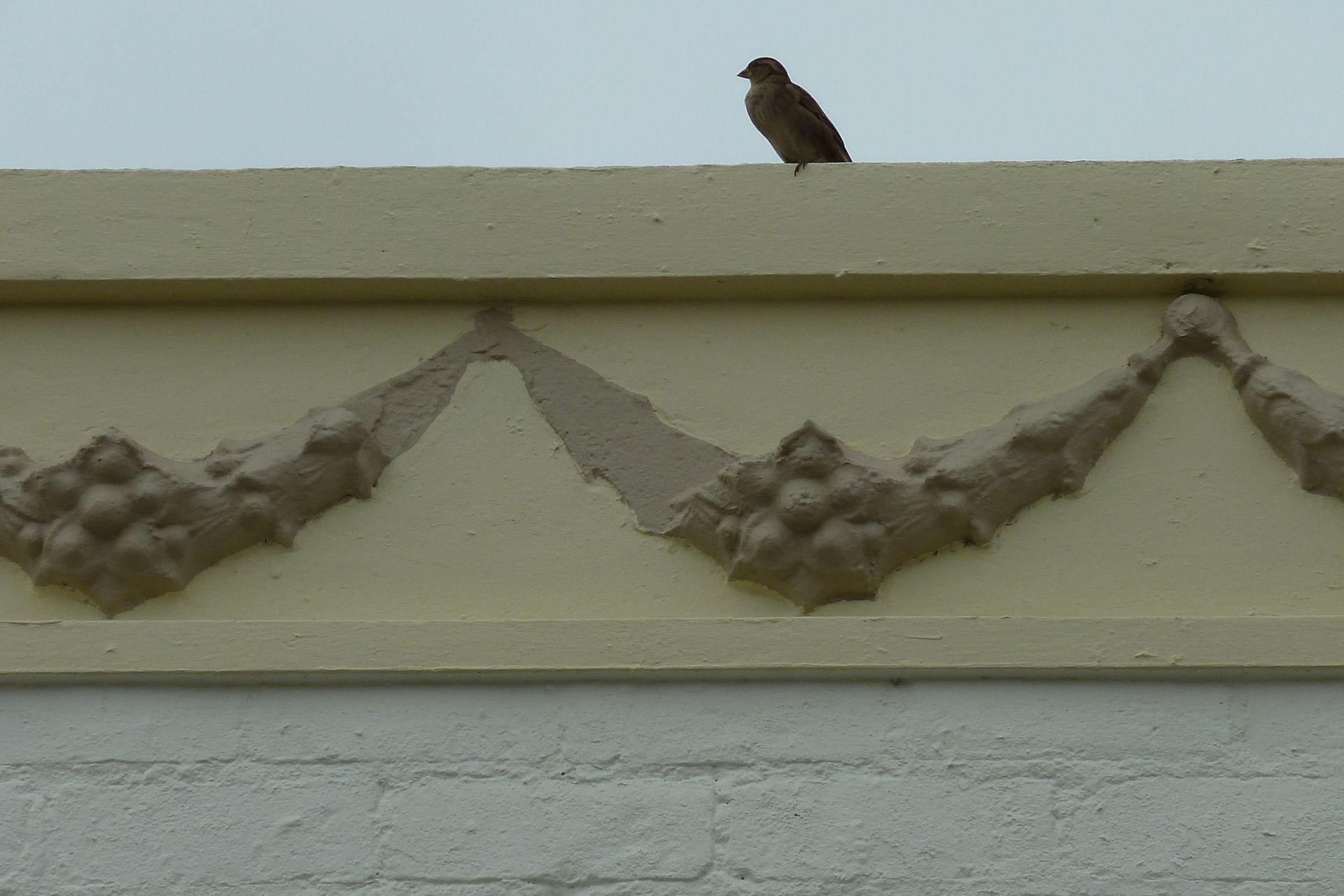 Grey Lynn library Auckland