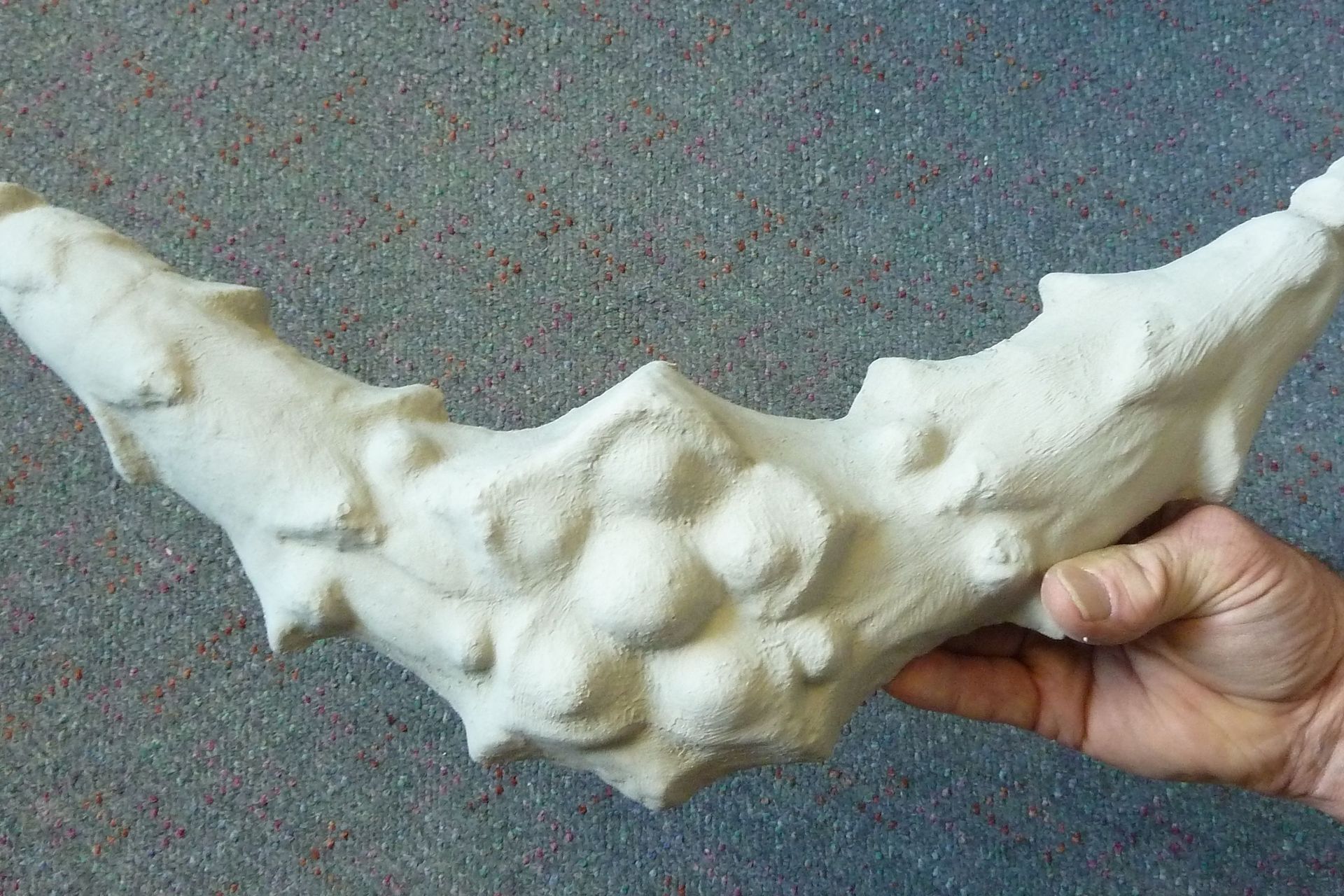 Grey Lynn library Auckland