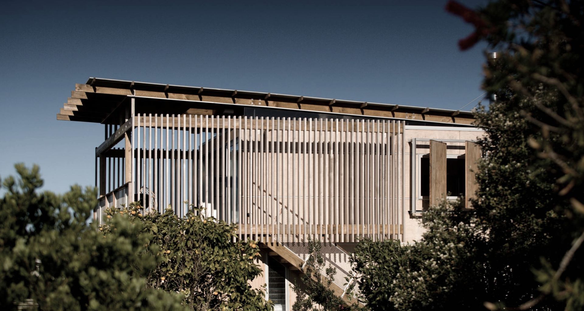 Hammerhead House banner