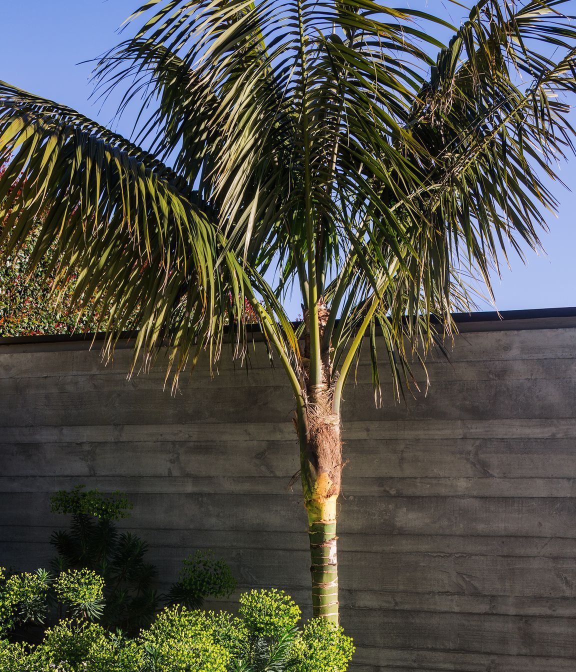 Remuera House