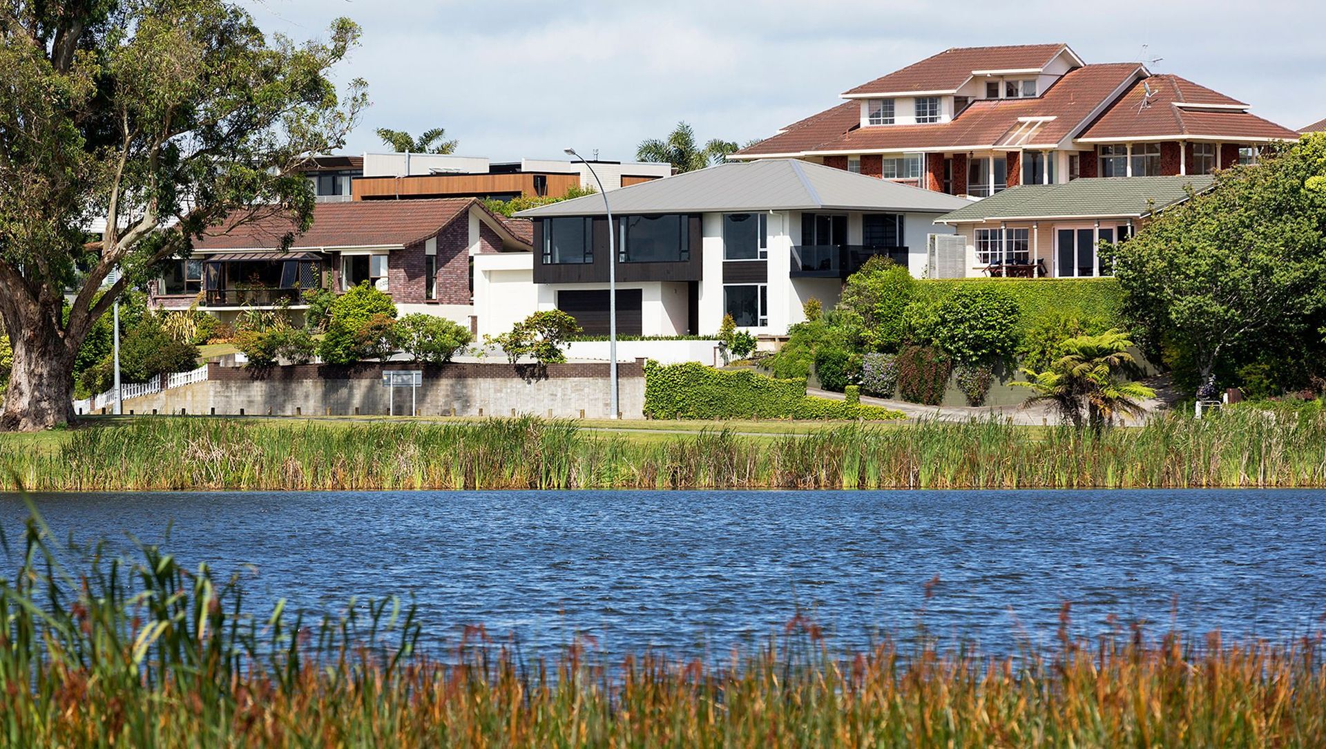 Lake Views banner
