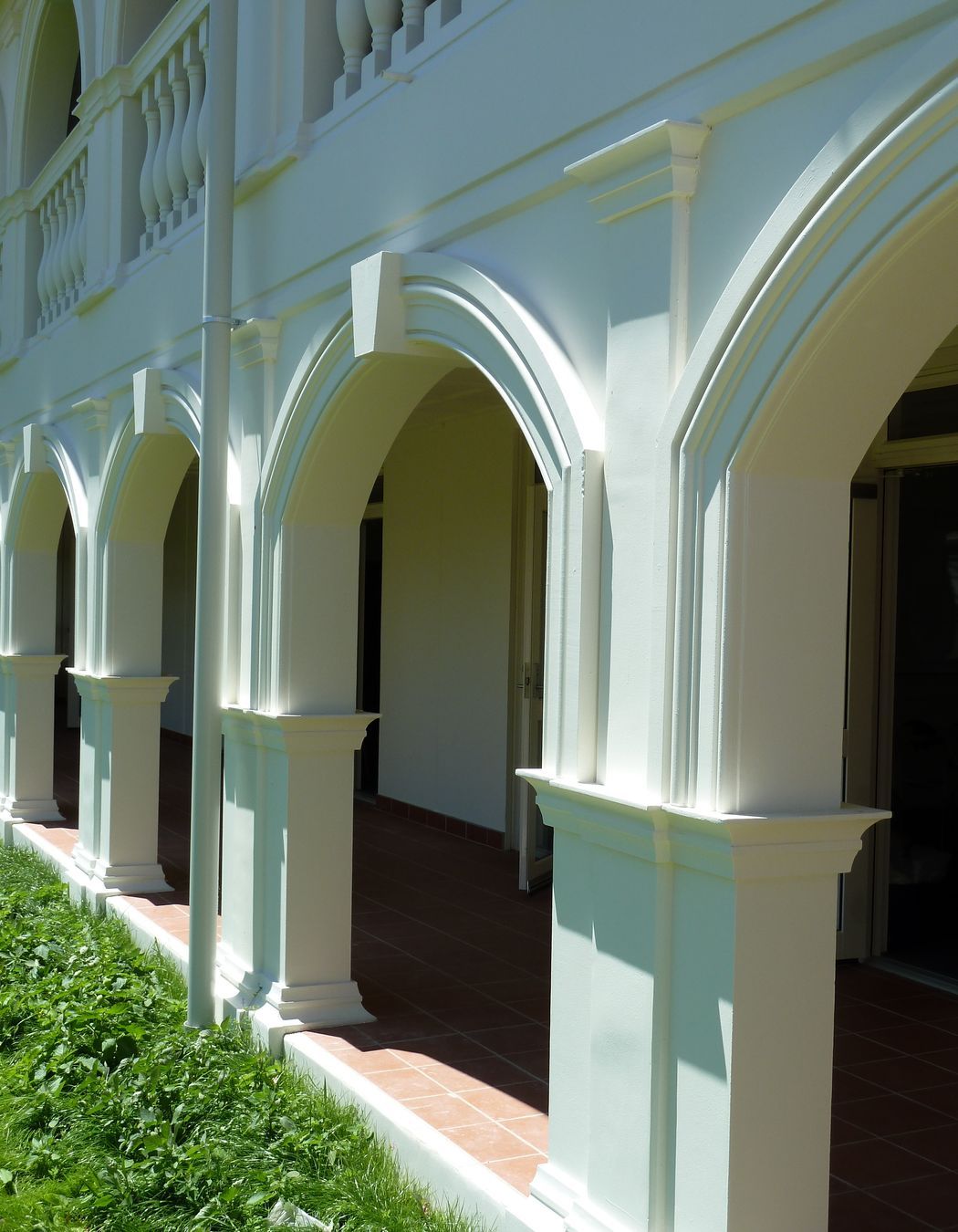 Language School Auckland