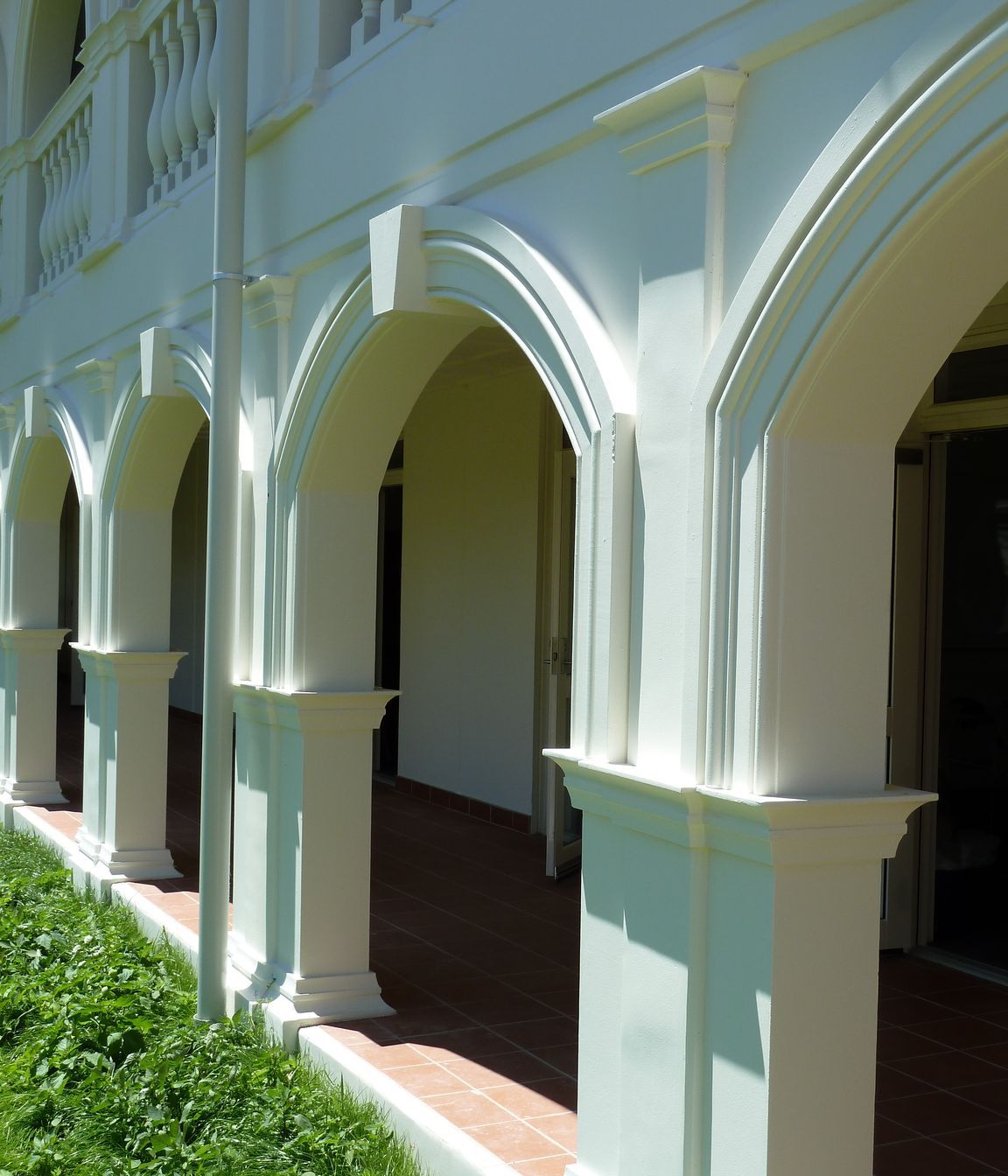 Language School Auckland