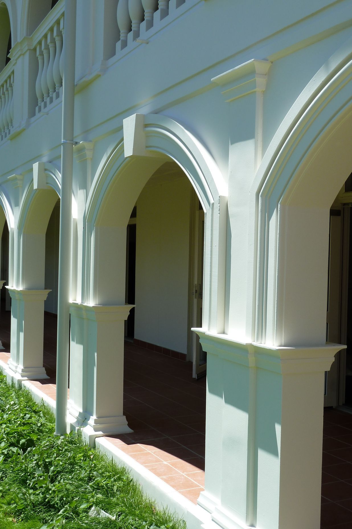 Language School Auckland