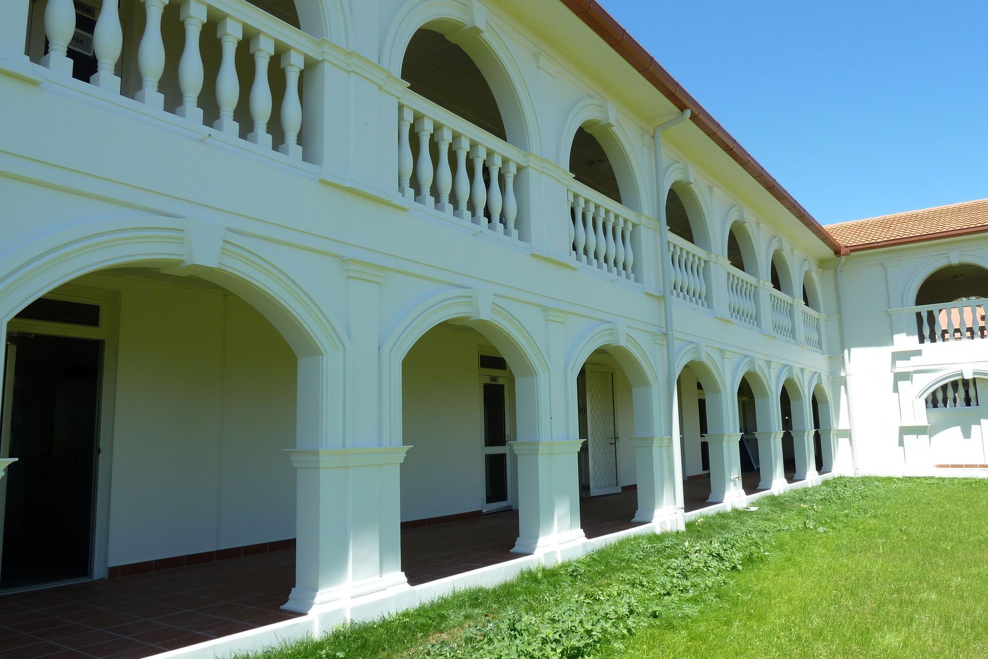 Language School Auckland