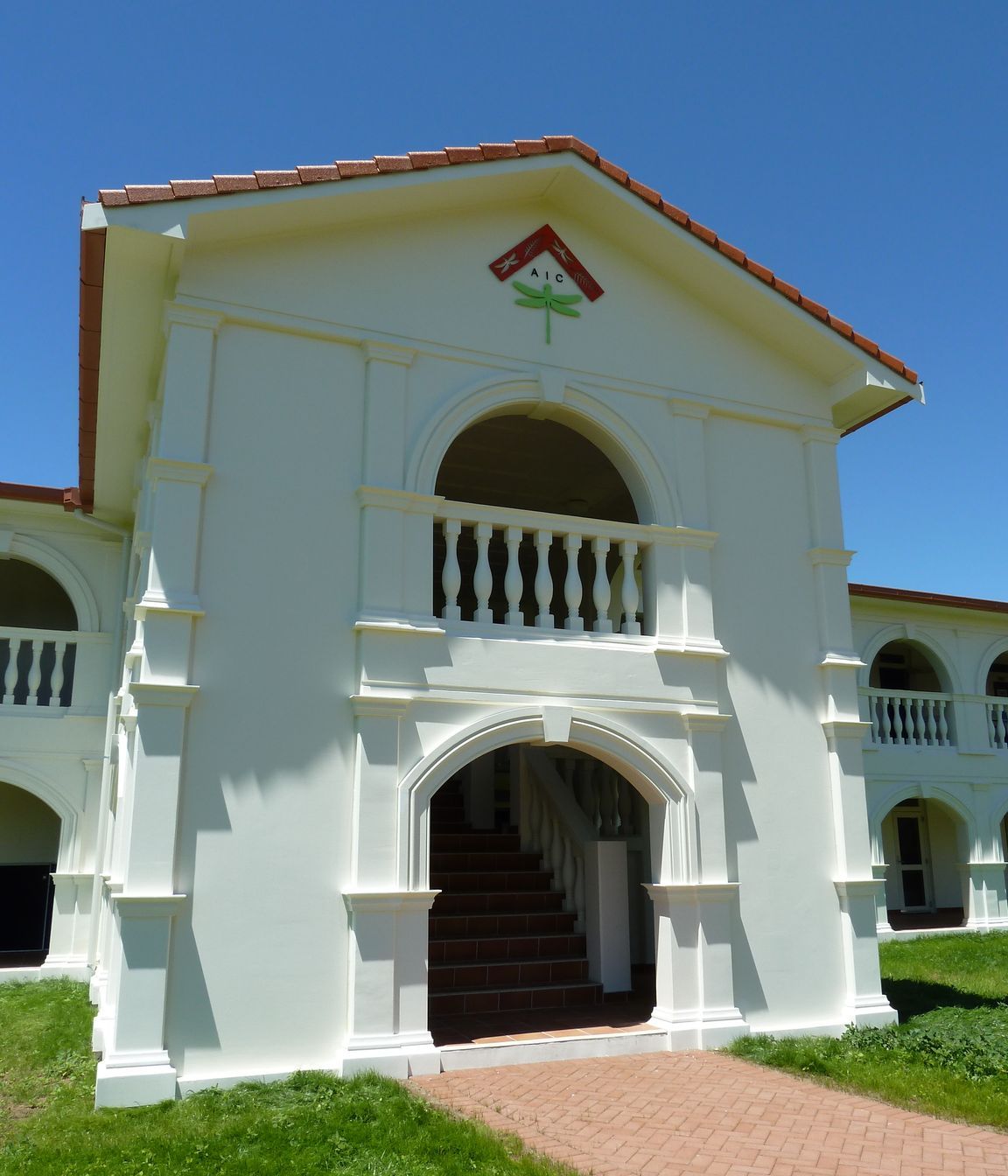 Language School Auckland