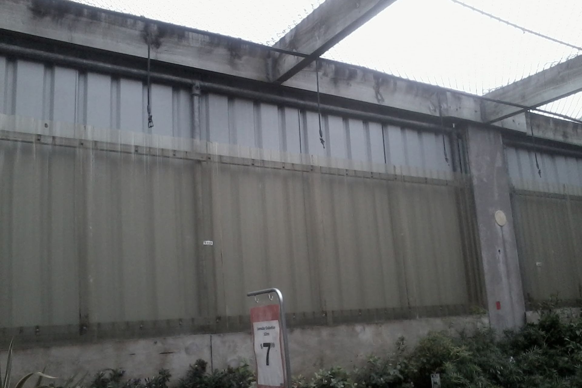 Latham TWL Manukau