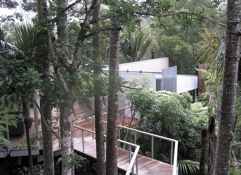 McCahon Artists
