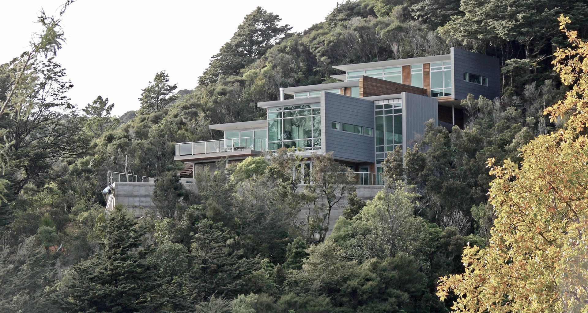 McNay Residence banner