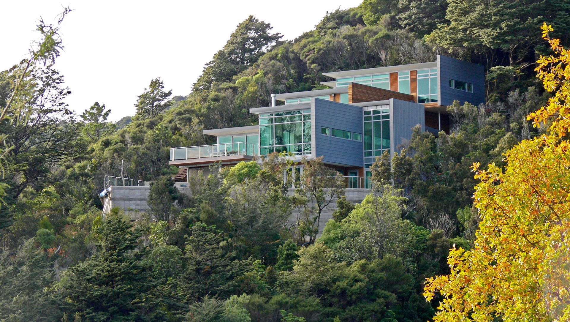 McNay Residence banner