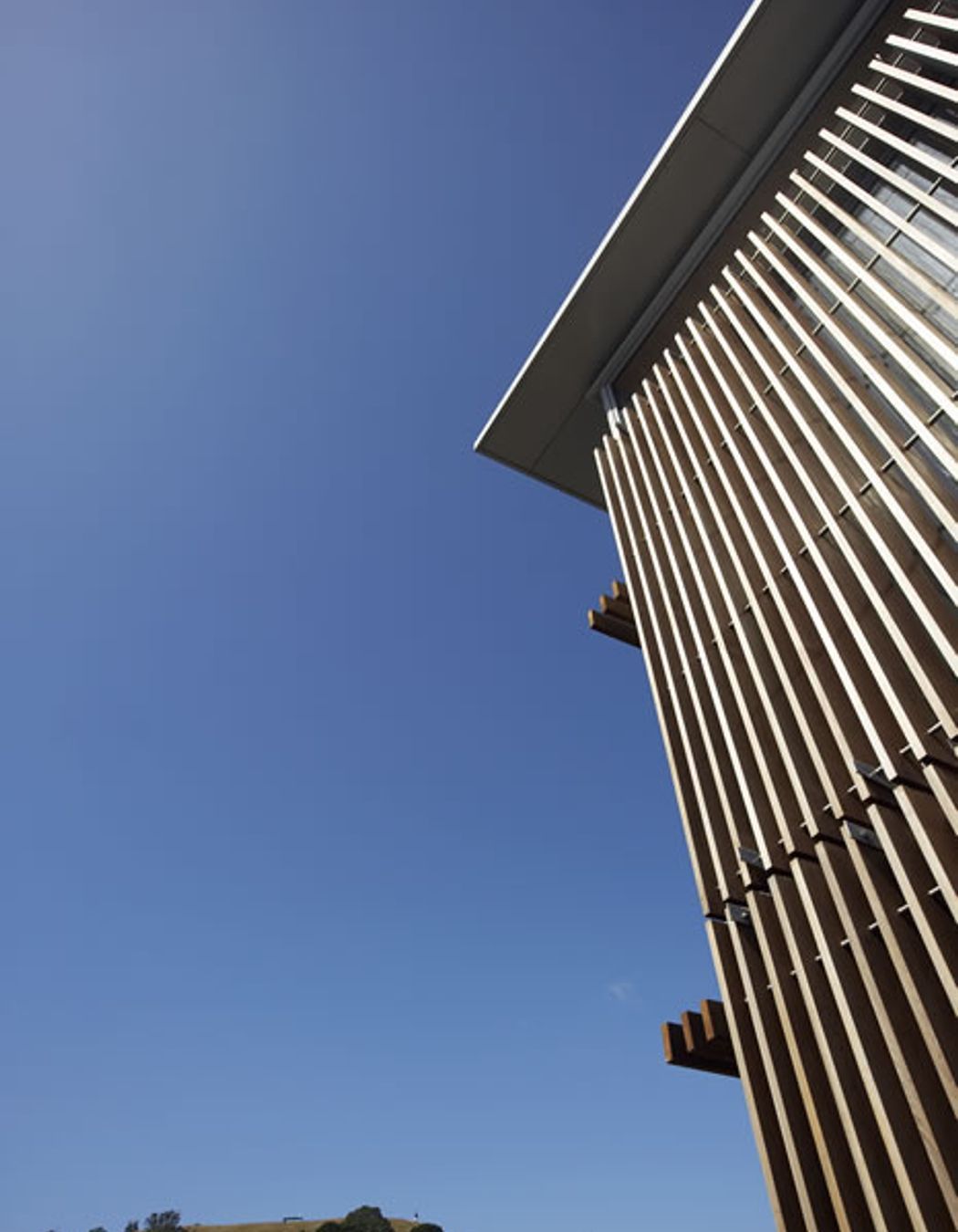 Mountain View House Mt Eden