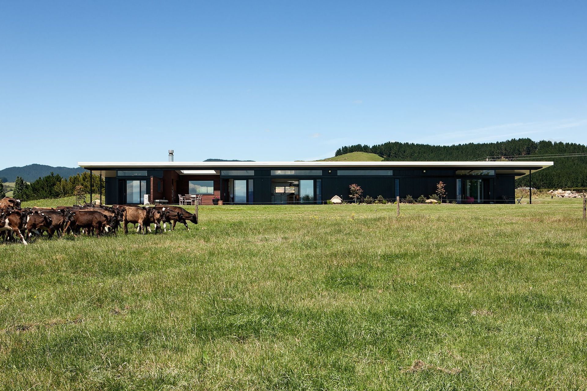 Ngatea House
