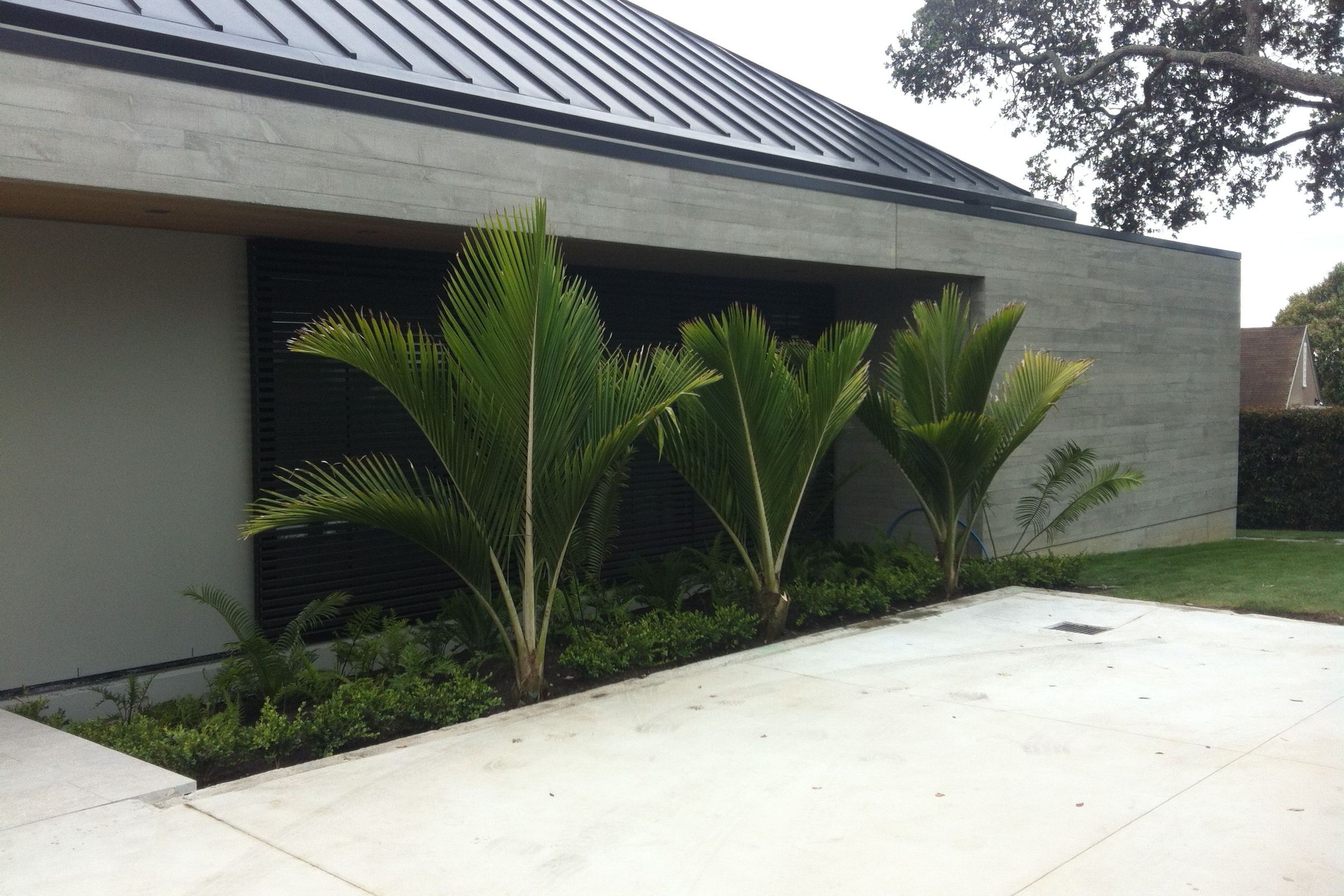 Remuera House