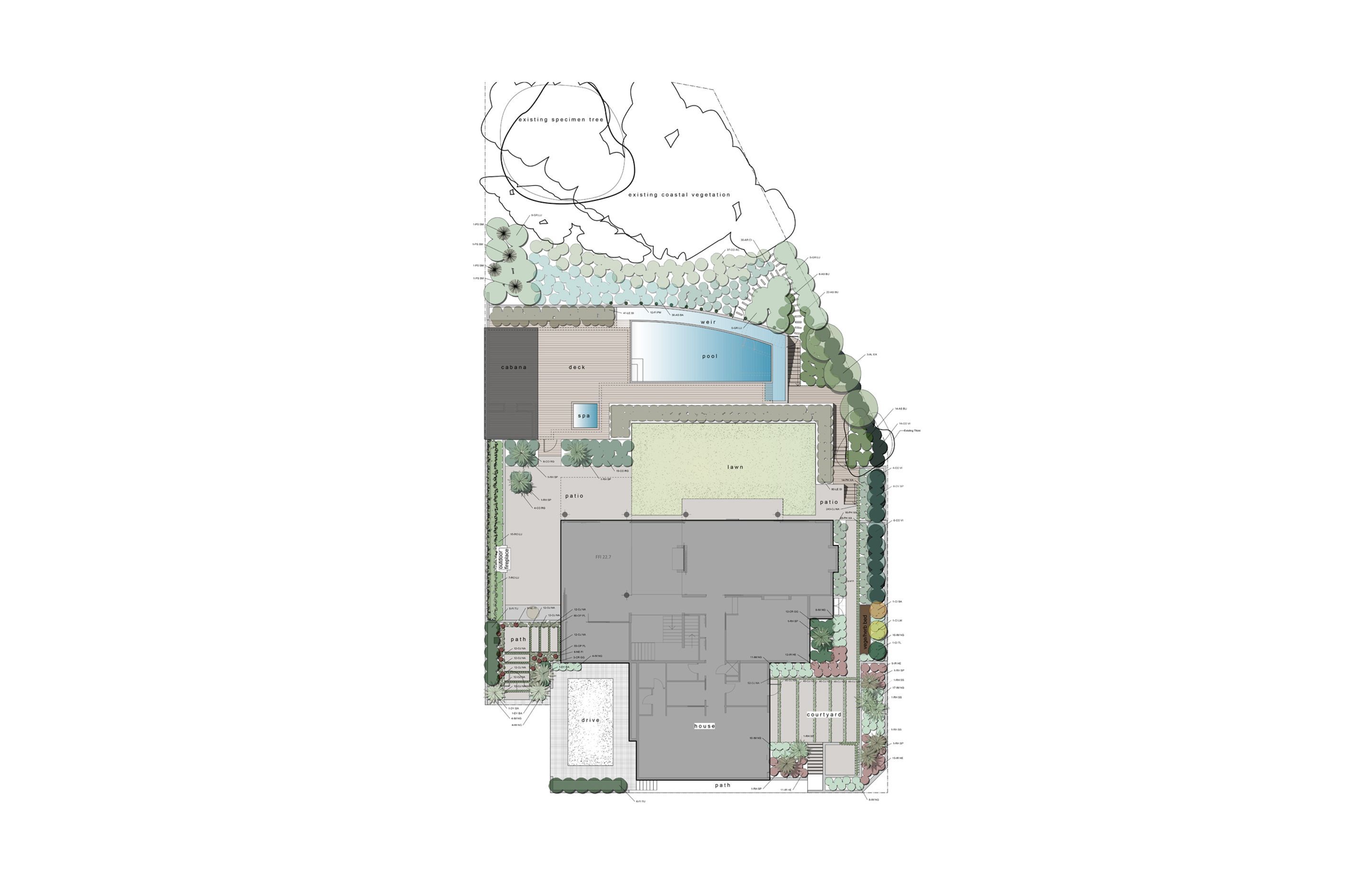 Remuera House
