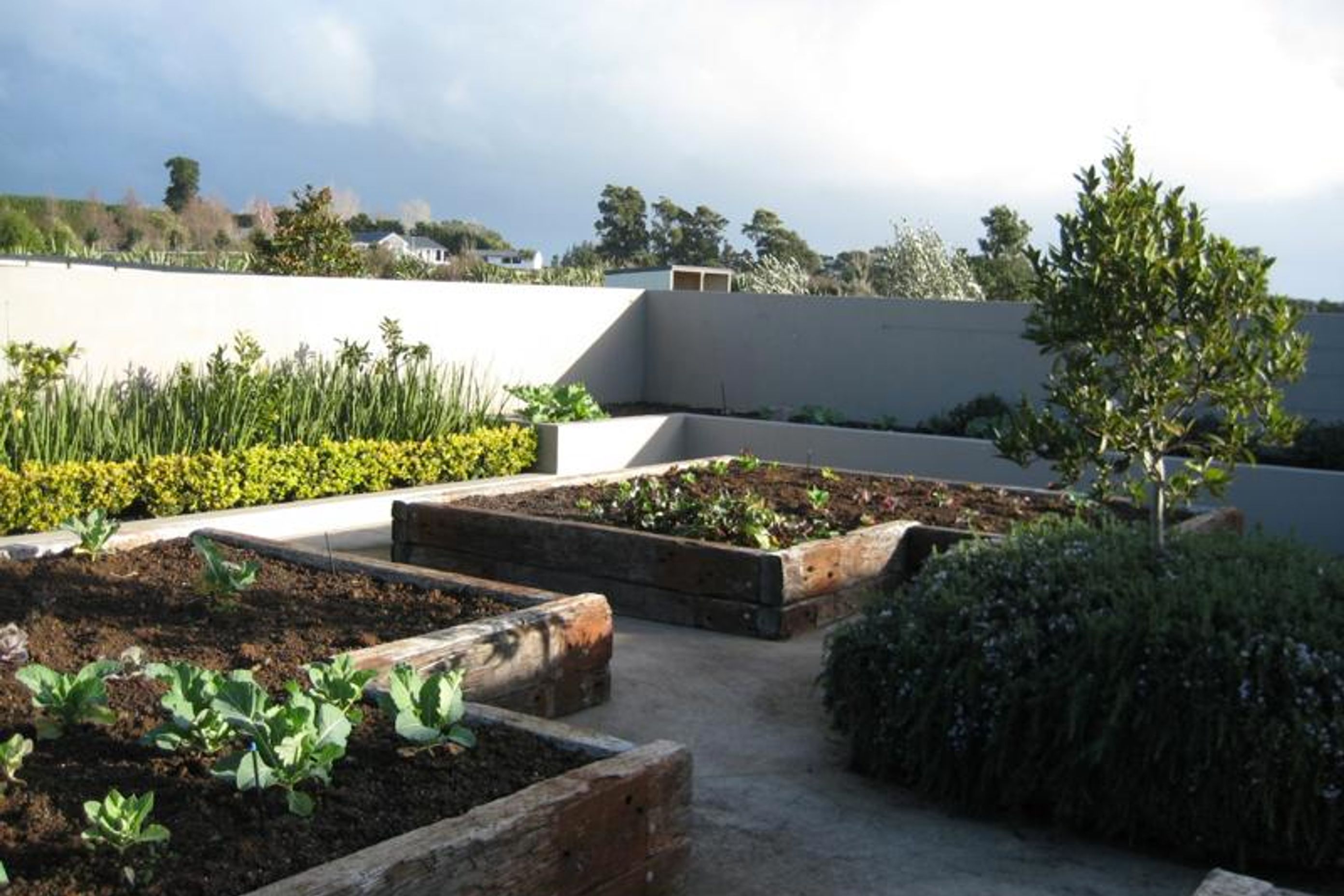 Country Gardens
