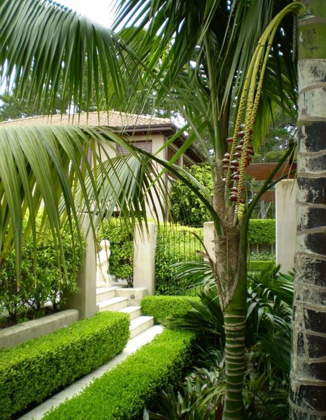 Plantings