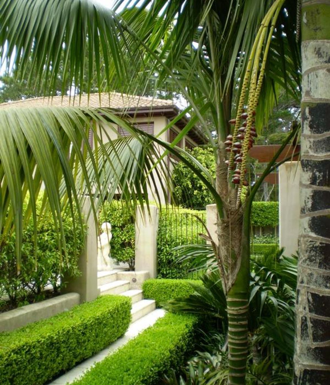 Plantings