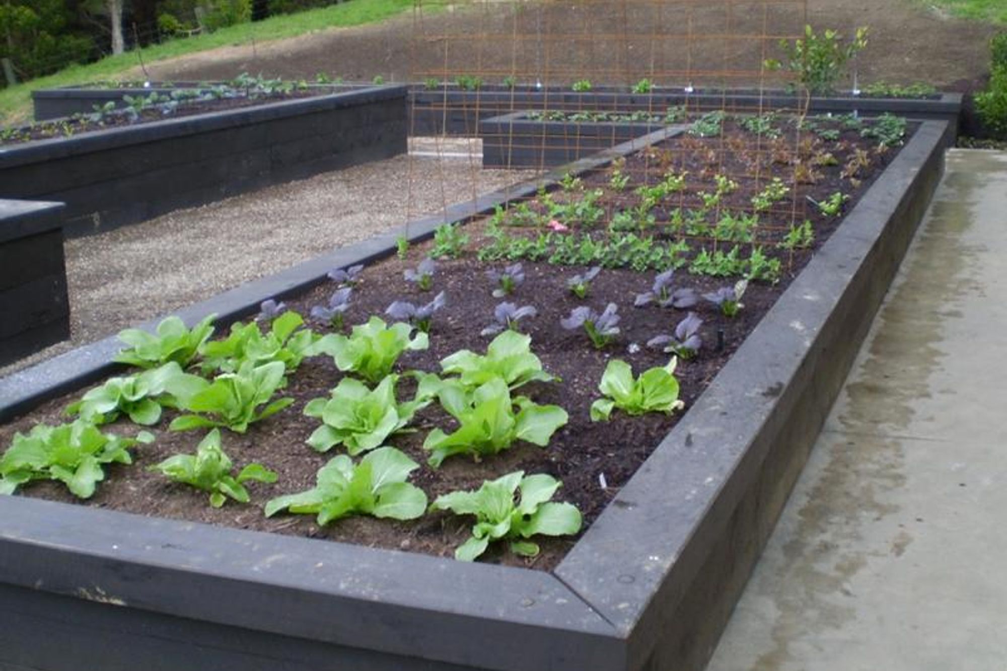 Country Gardens