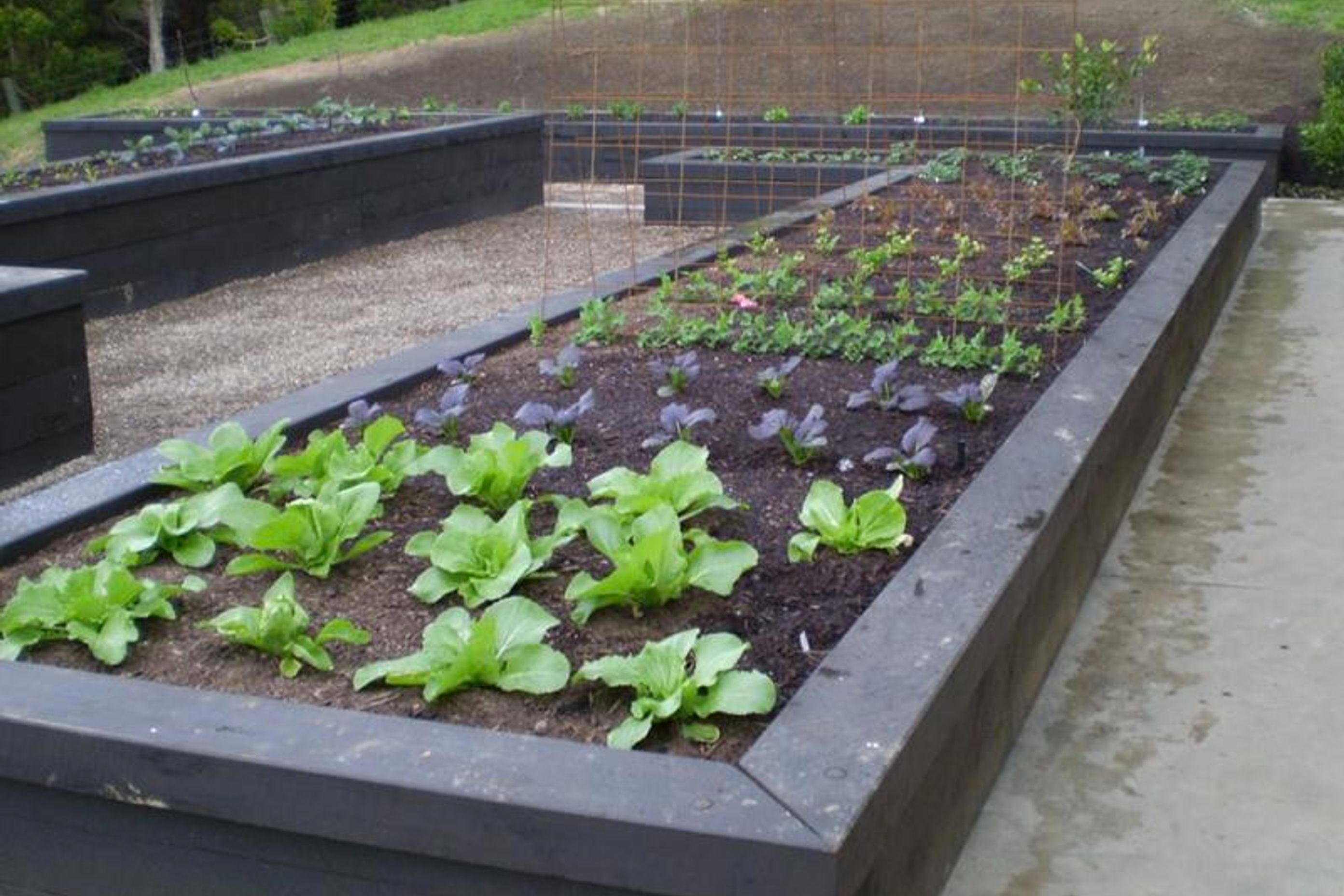 Country Gardens