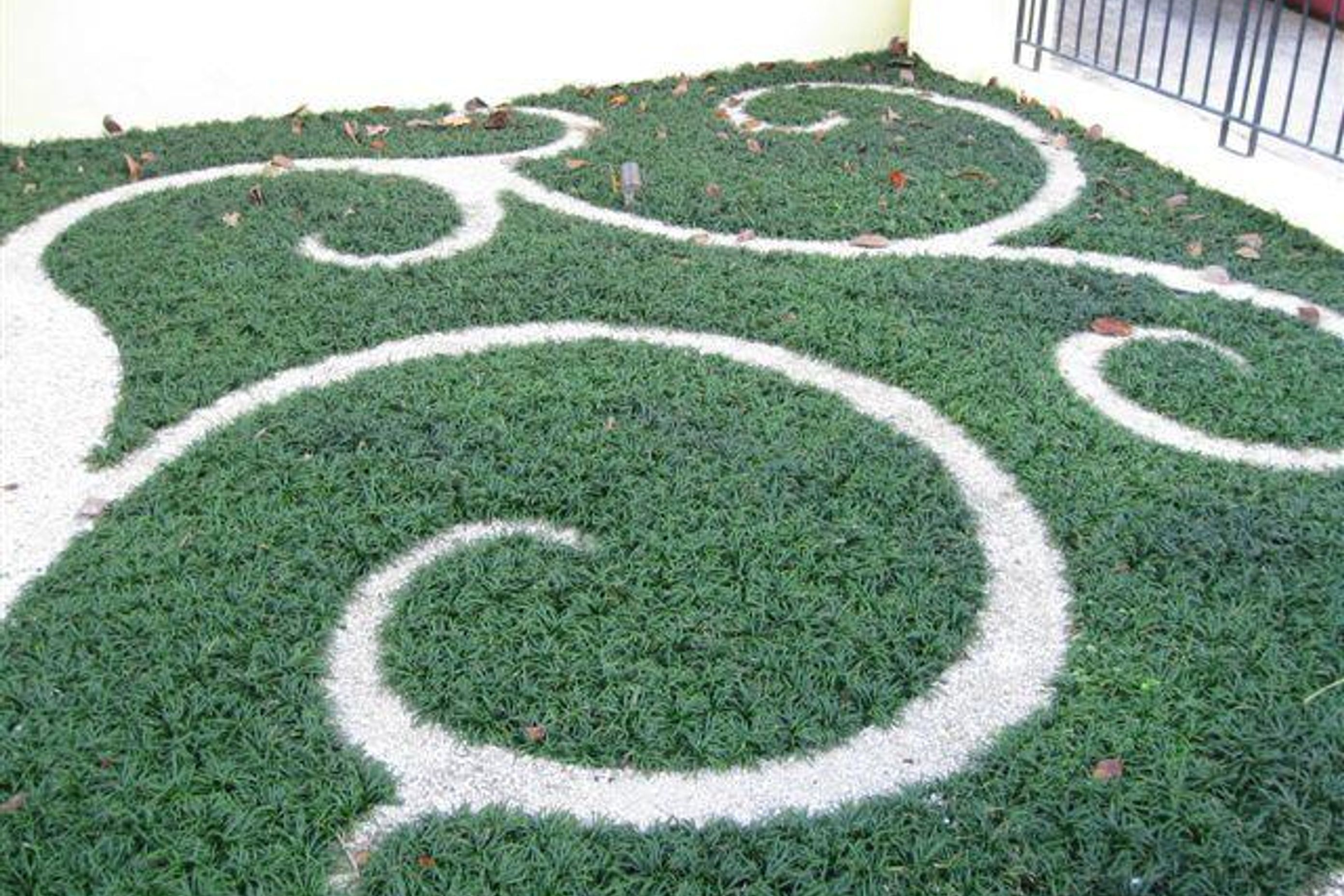 Plantings