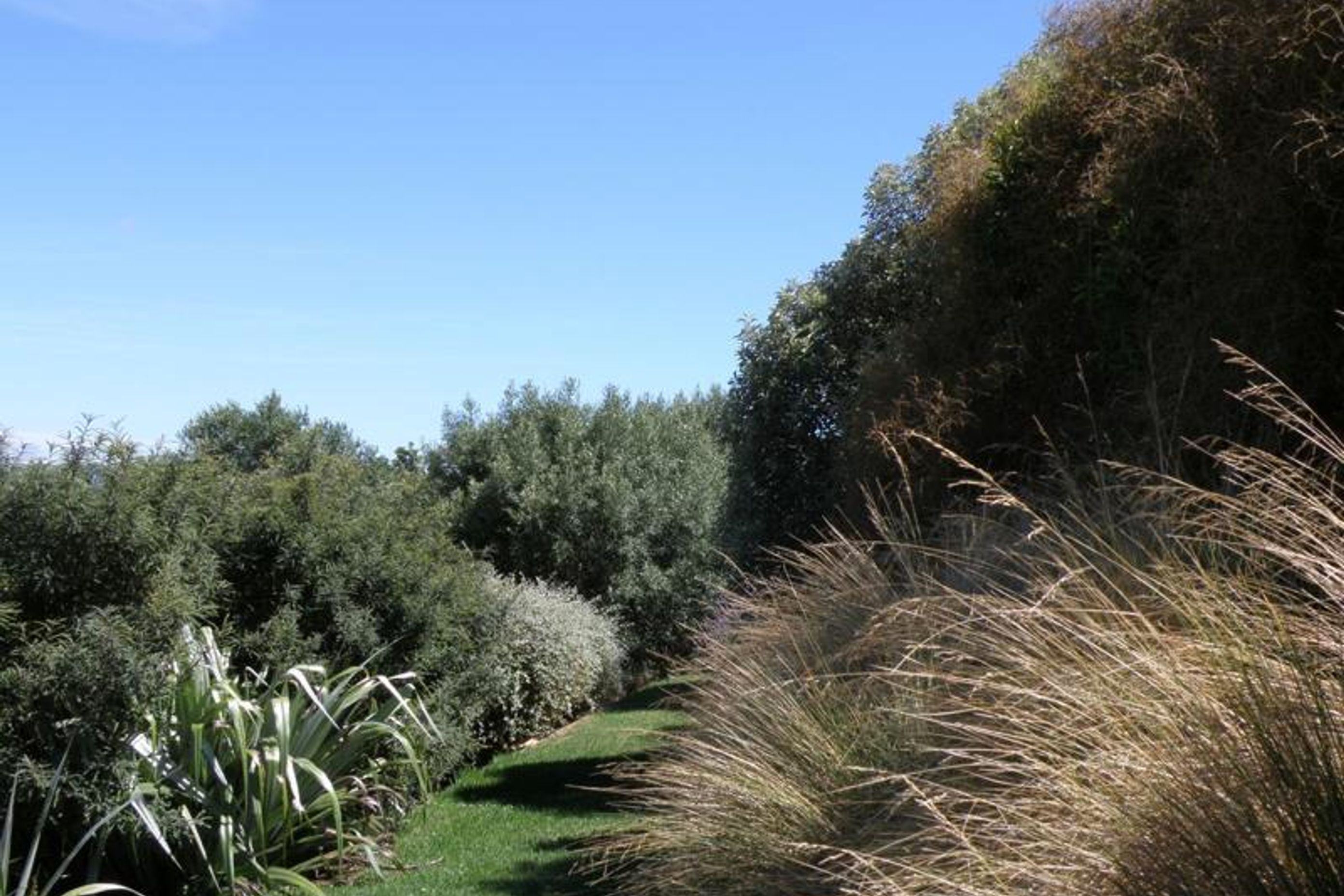 Plantings