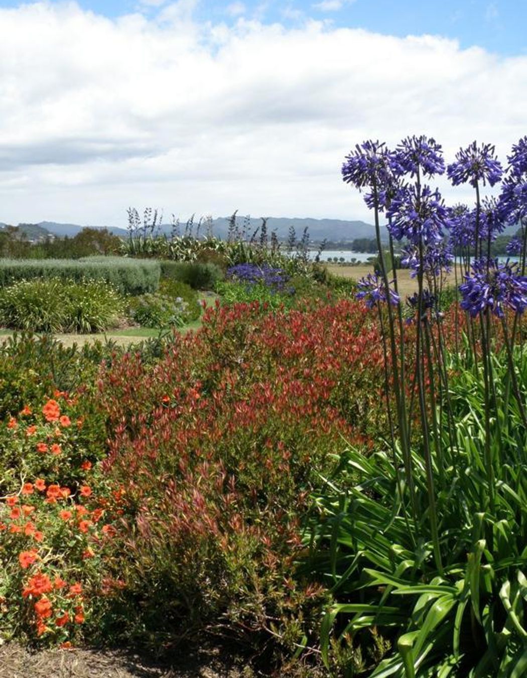 Plantings