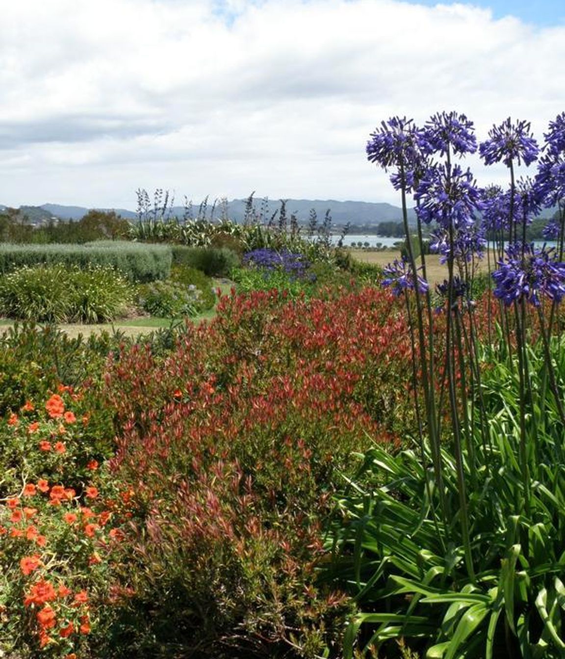 Plantings