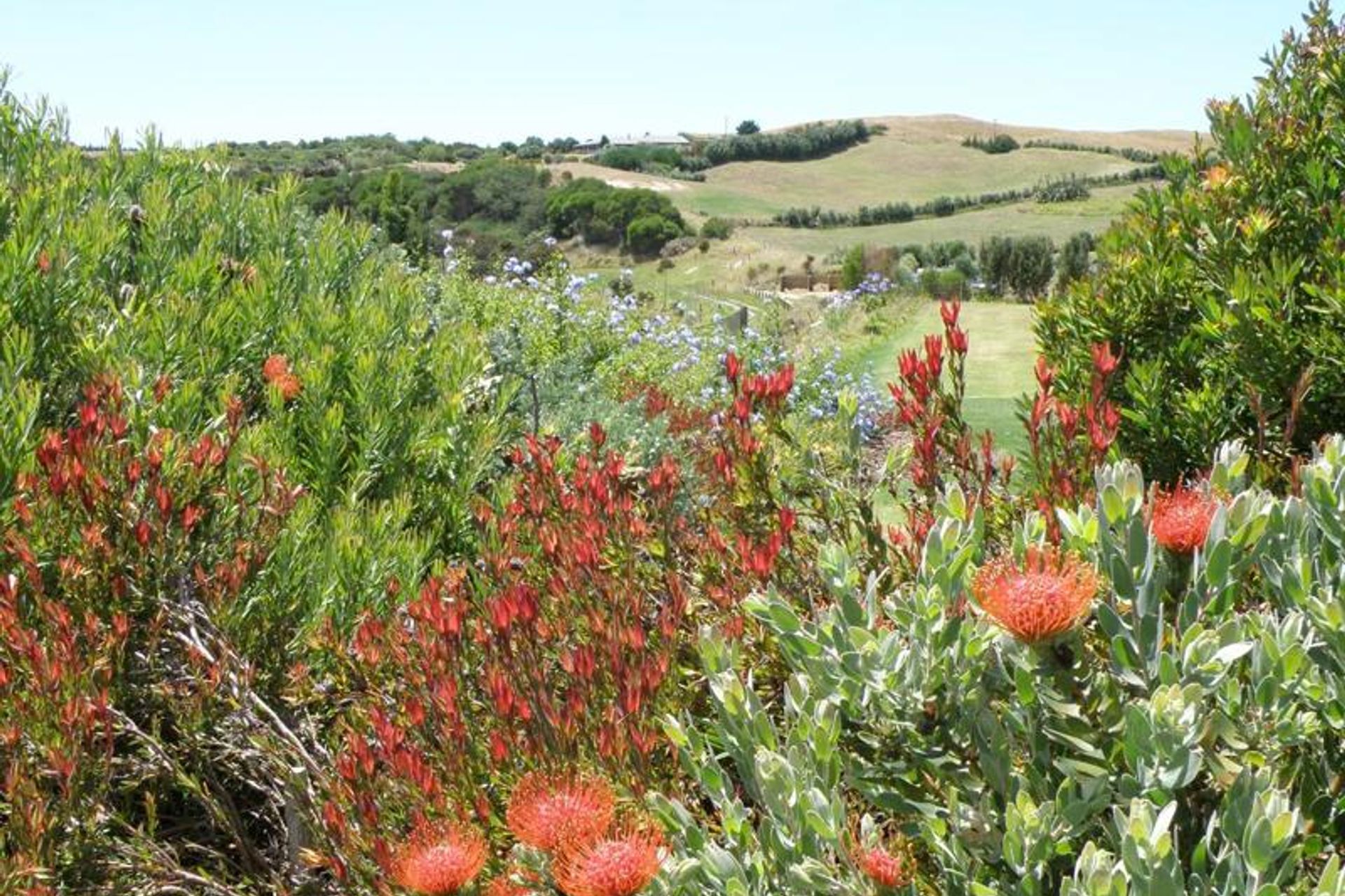 Plantings