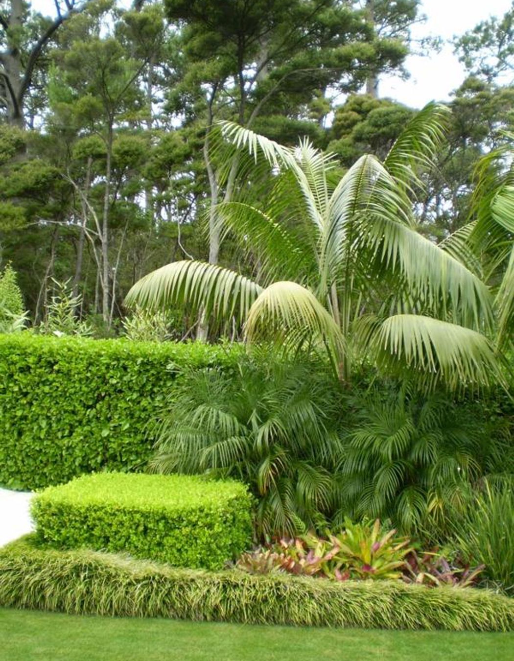 Plantings