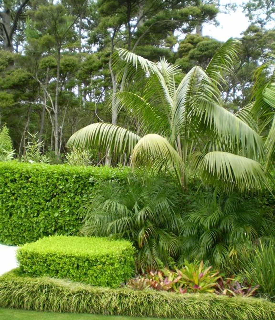Plantings